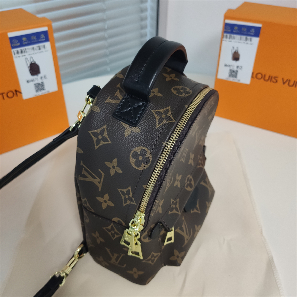 LV Louis Vuitton Palm Springs Backpack