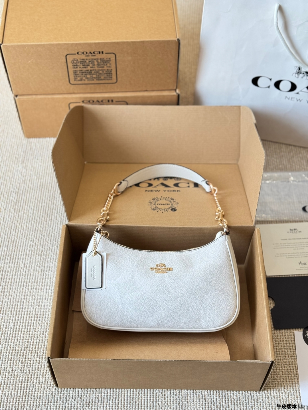 Coach Teri series armpit bag
