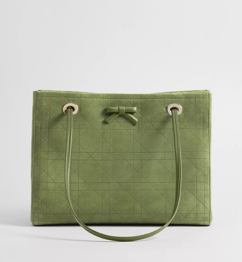 (Special Price)Dior medium-sized bag, Dior Promenade tote bag