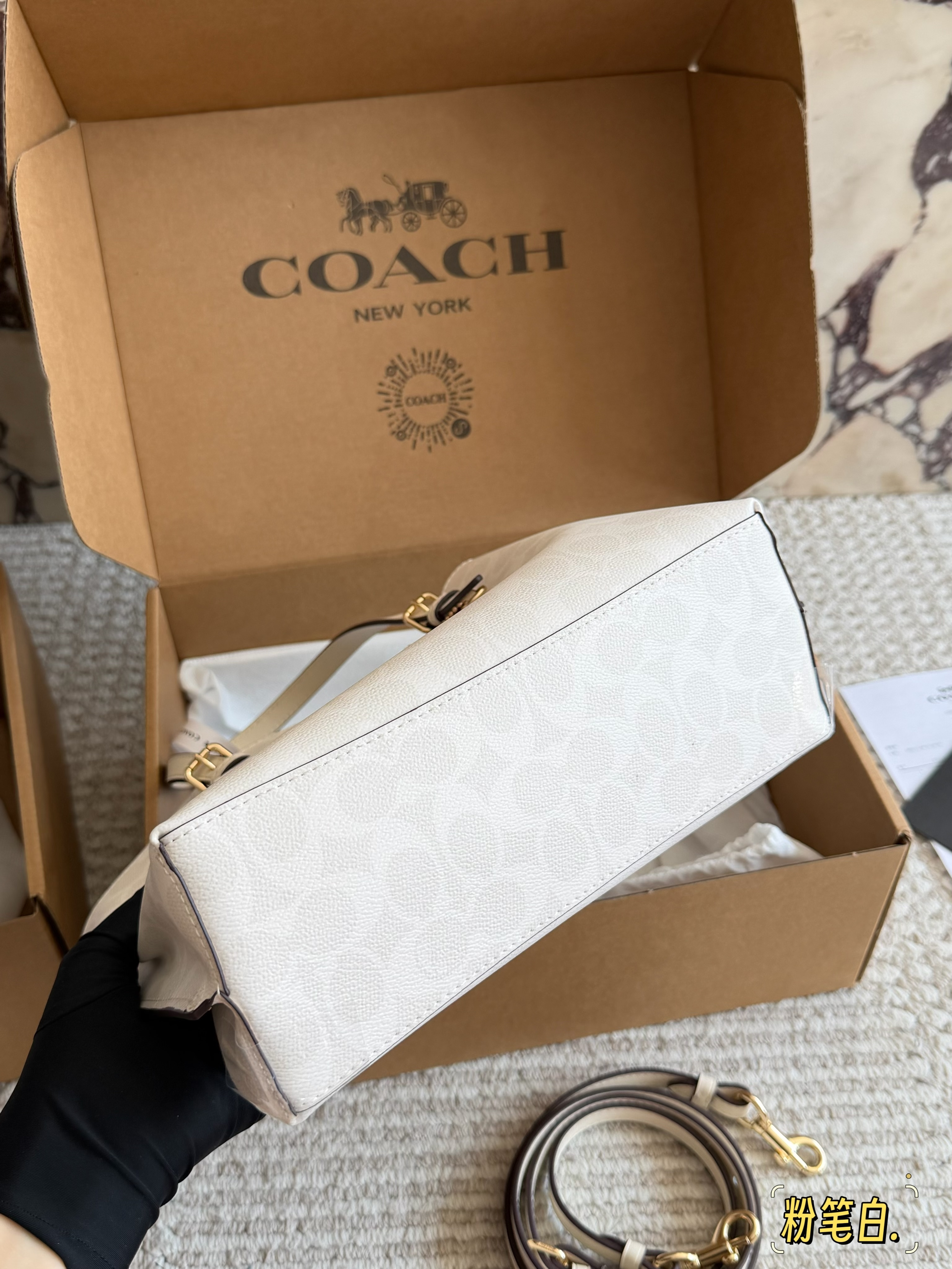 coach Mollie  tote25 bag