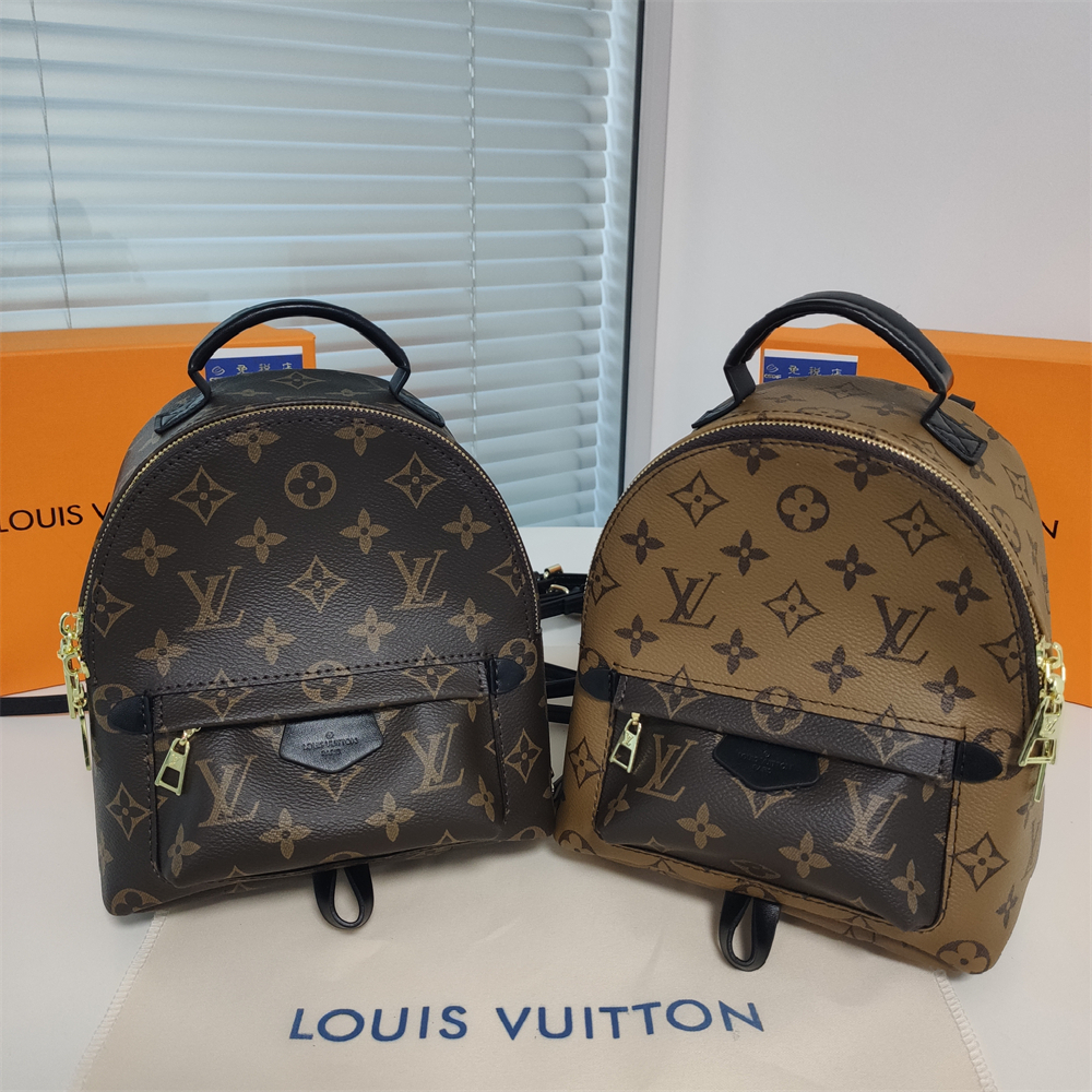 LV Louis Vuitton Palm Springs Backpack