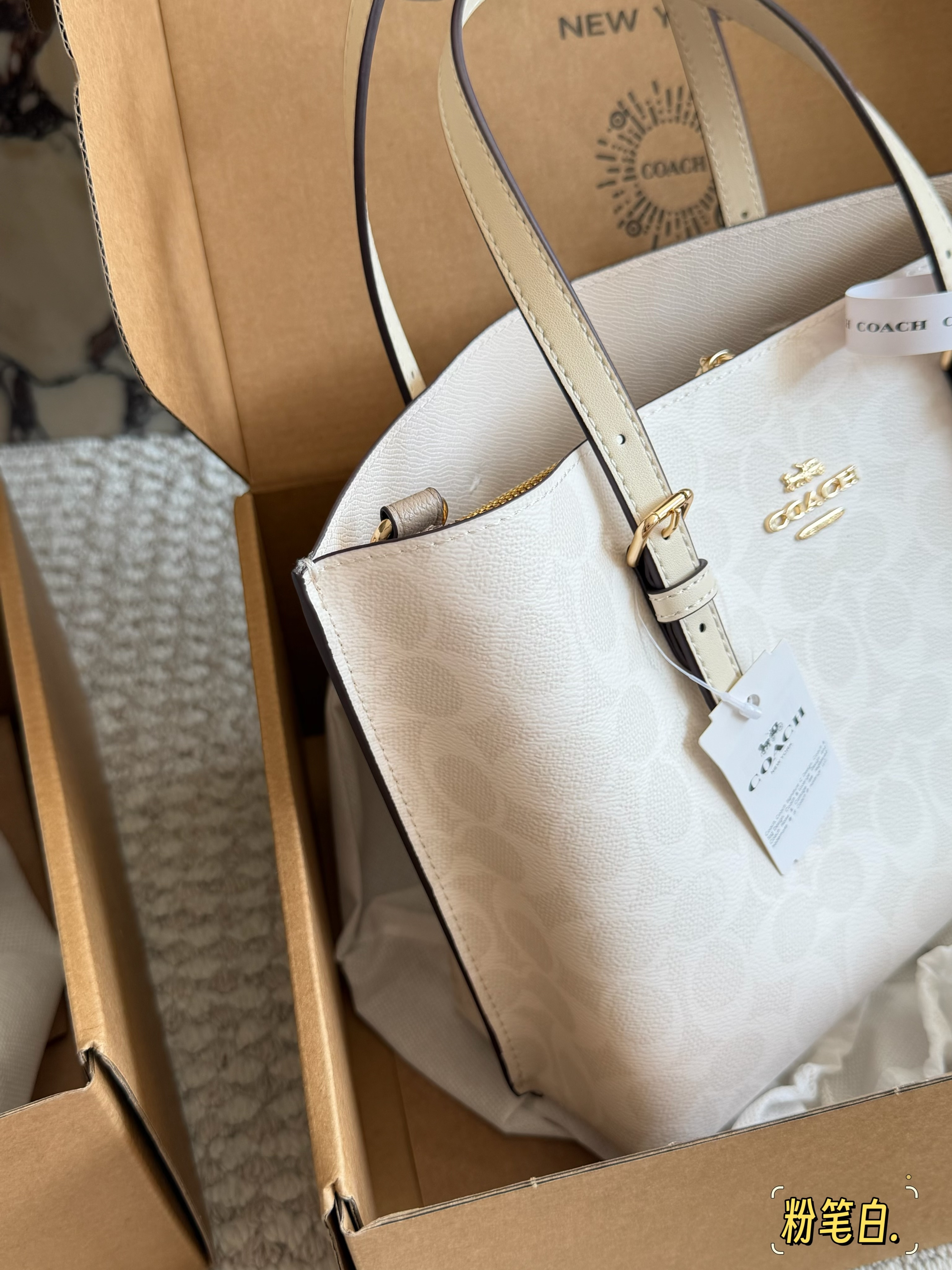 coach Mollie  tote25 bag