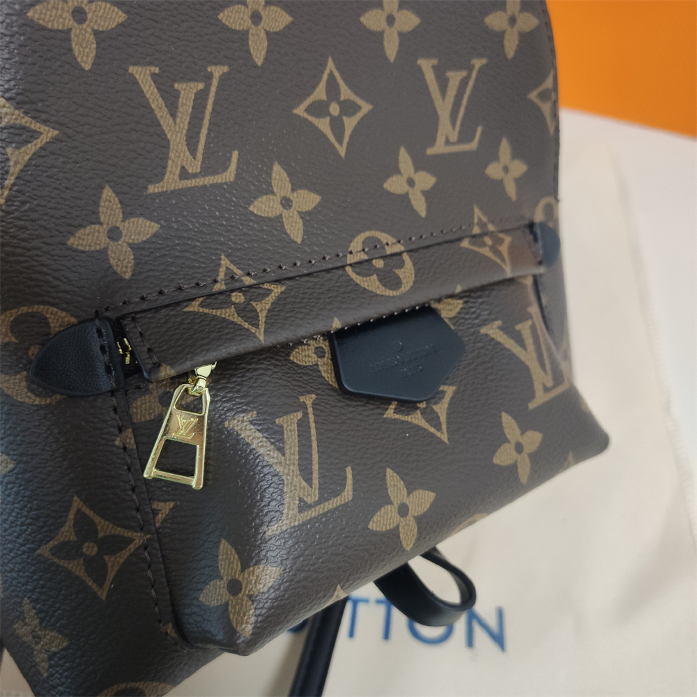 LV Louis Vuitton Palm Springs Backpack