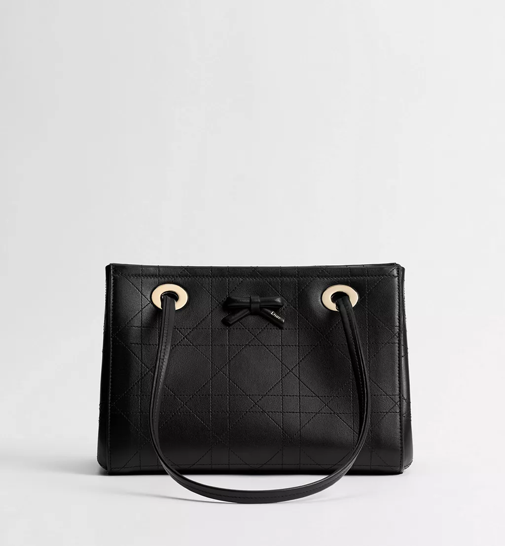 Dior bags,small sizes; Dior Promenade tote bag.