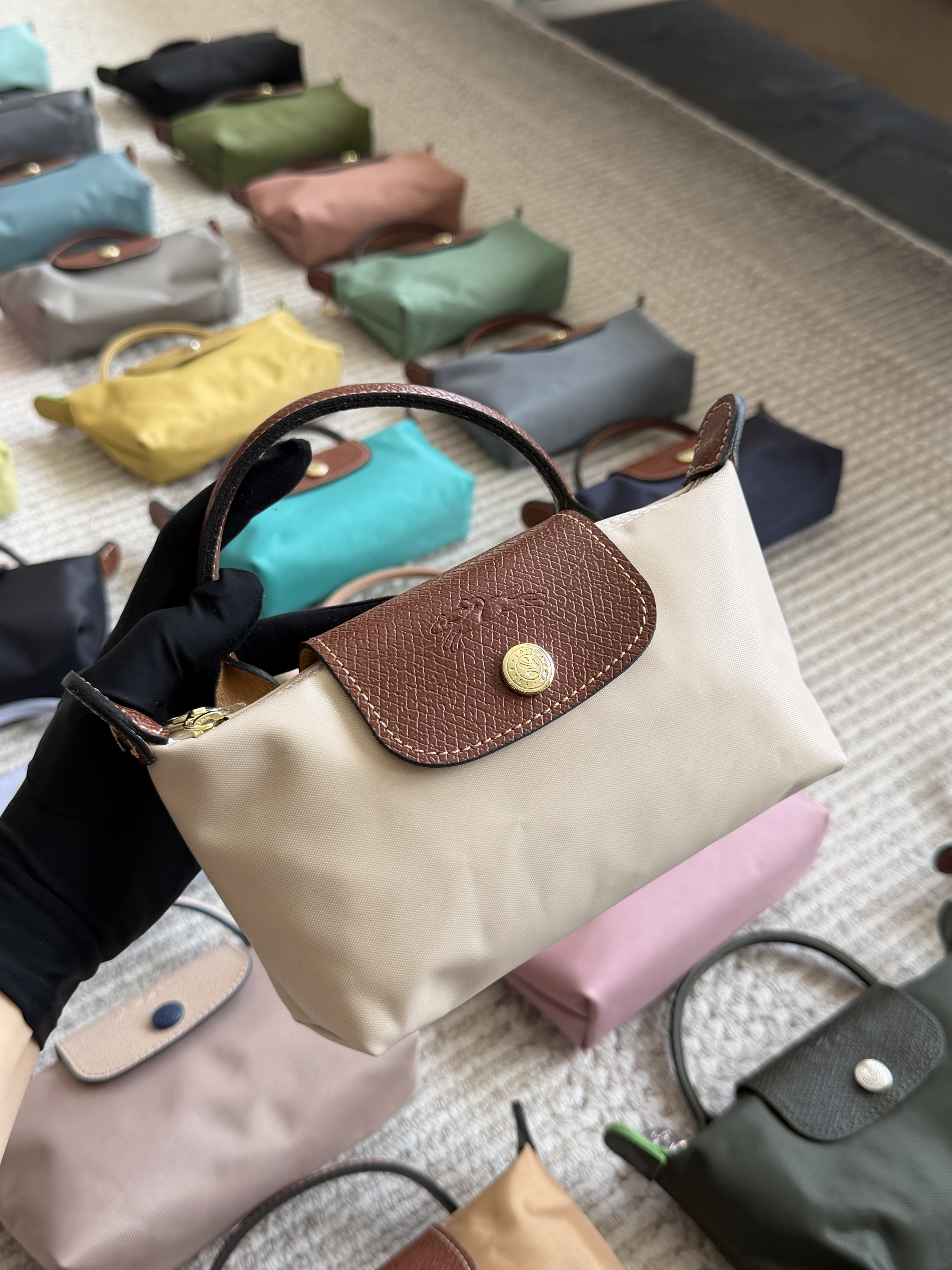 longchamp bag