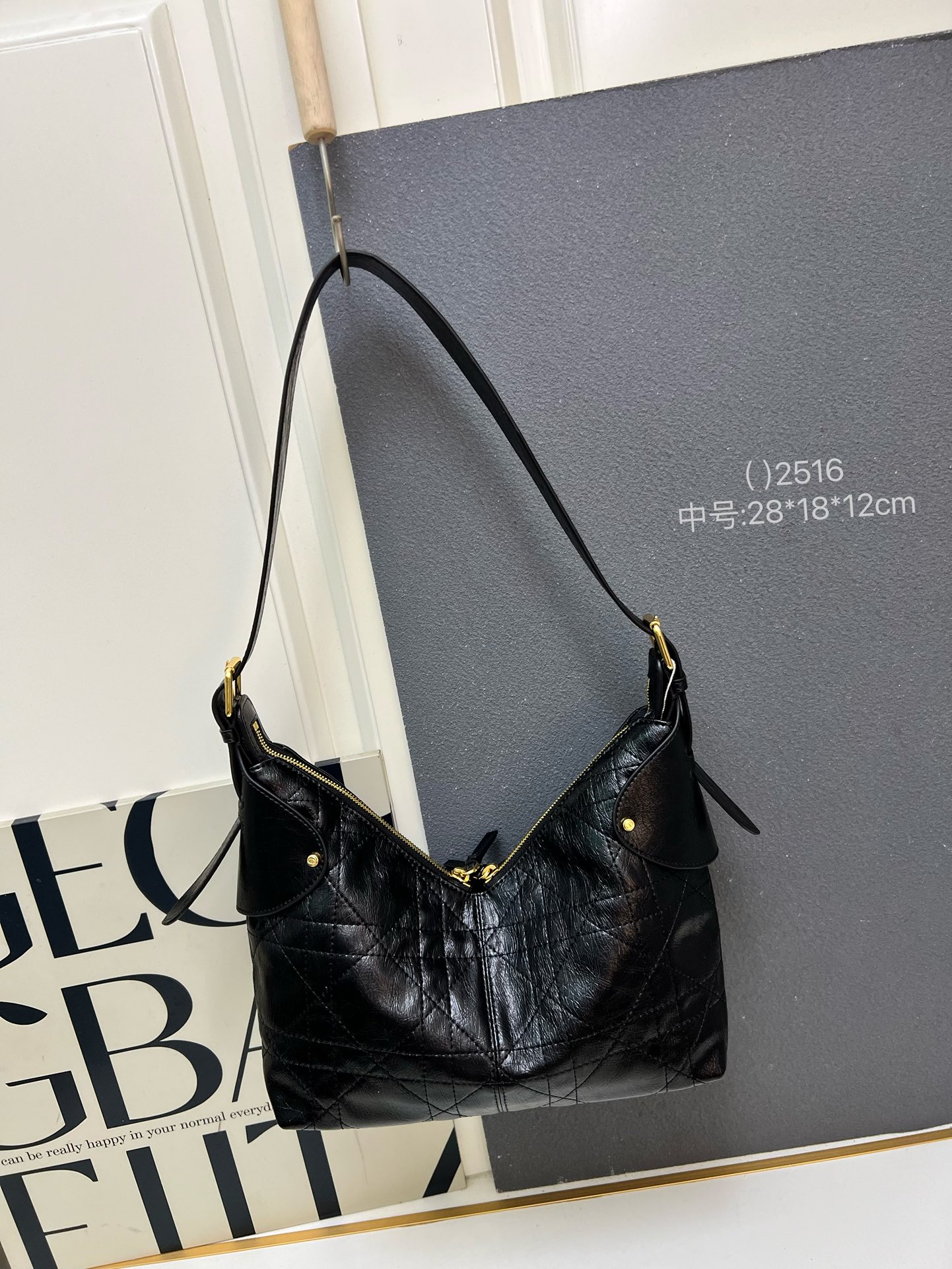 DIOR VOYAGE bag