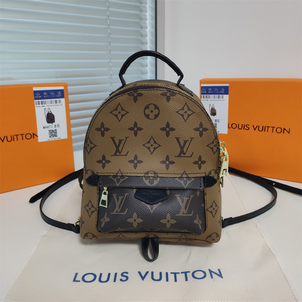 LV Louis Vuitton Palm Springs Backpack