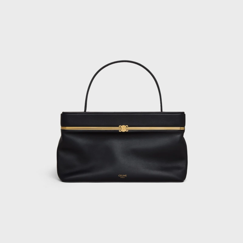 Celine RECTANGLE handbags