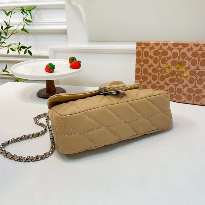 coach Tabby chain bag