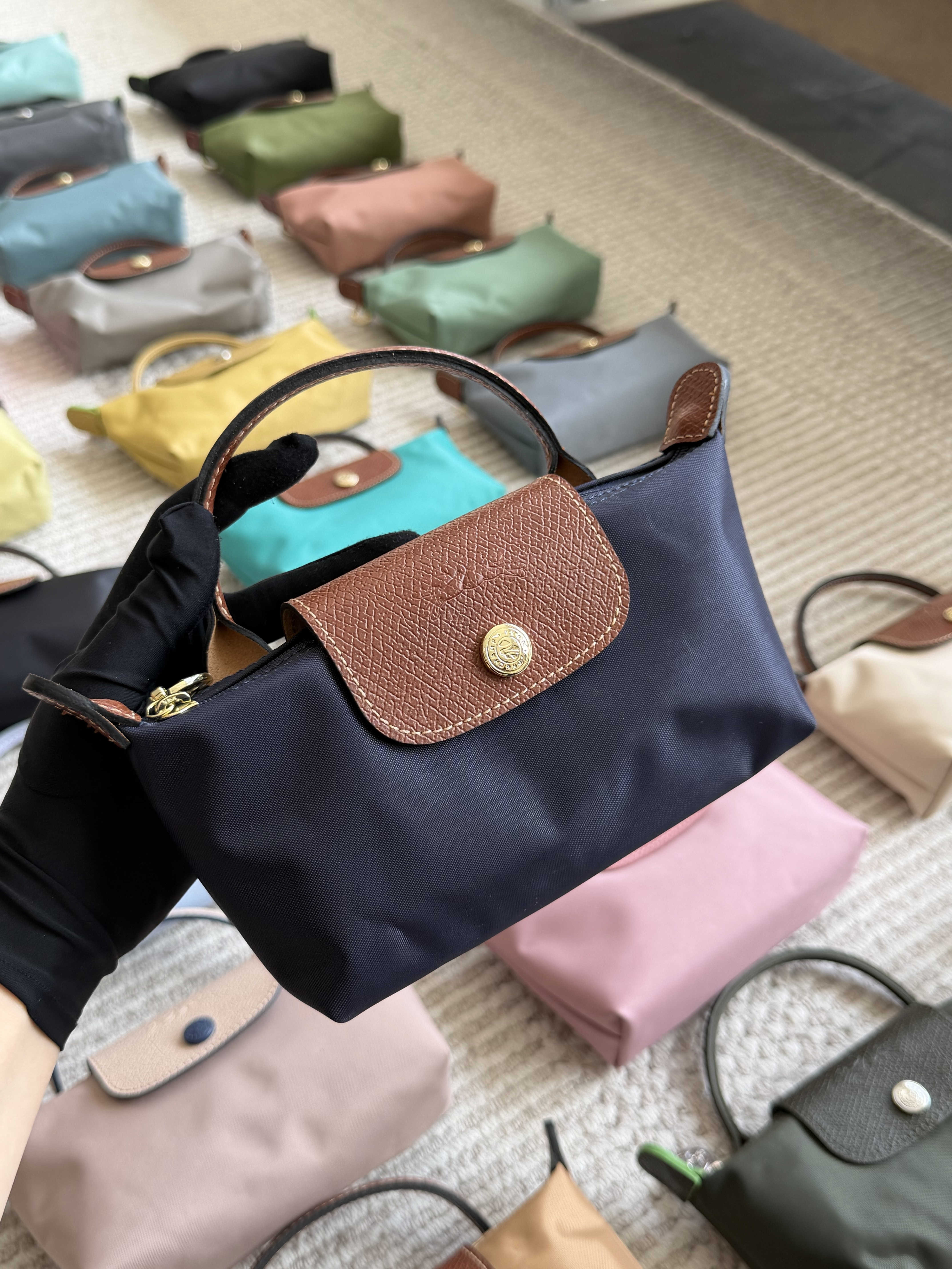 longchamp bag