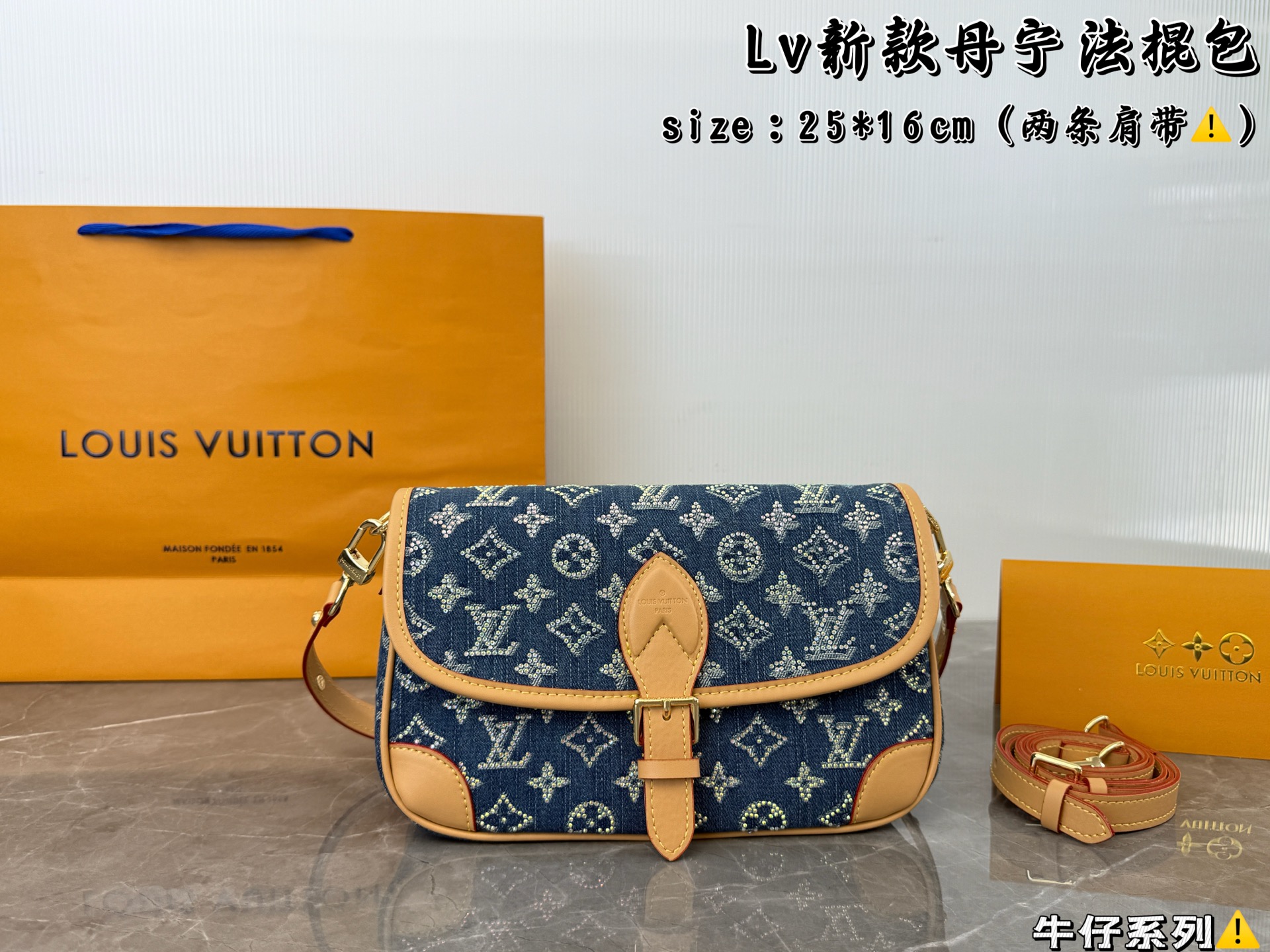 LV Denim Baguette Bag