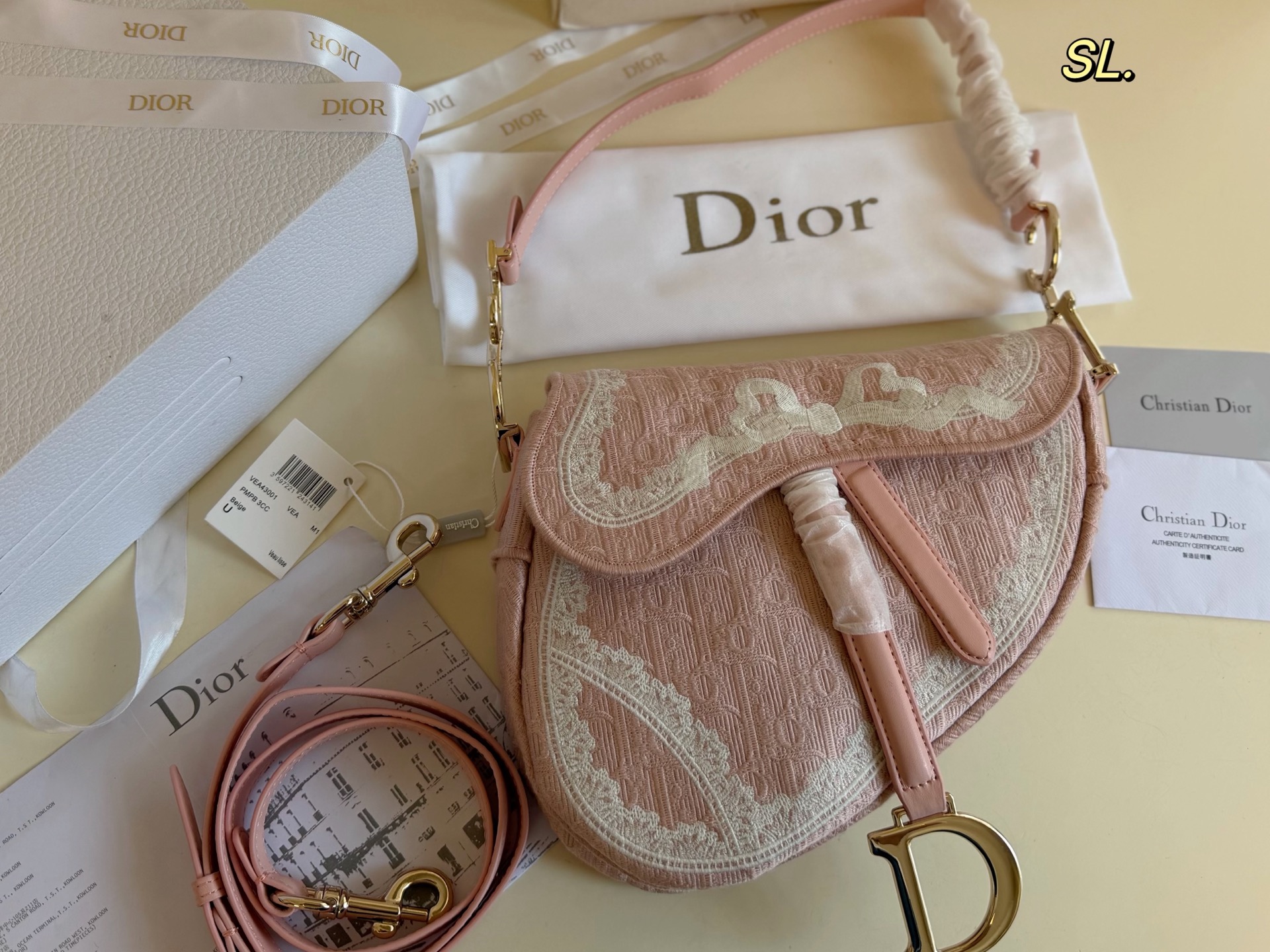Dior Saddle Limited-Edition Embroidered Bag