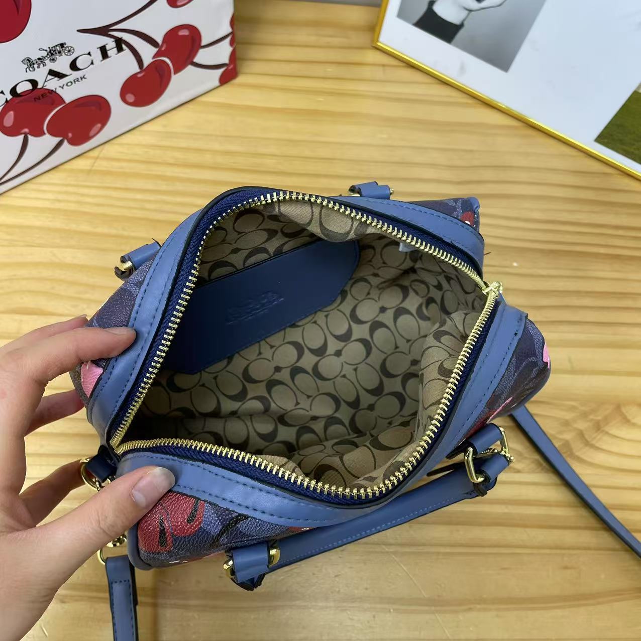 Coach pillow bag hand crossbody bag