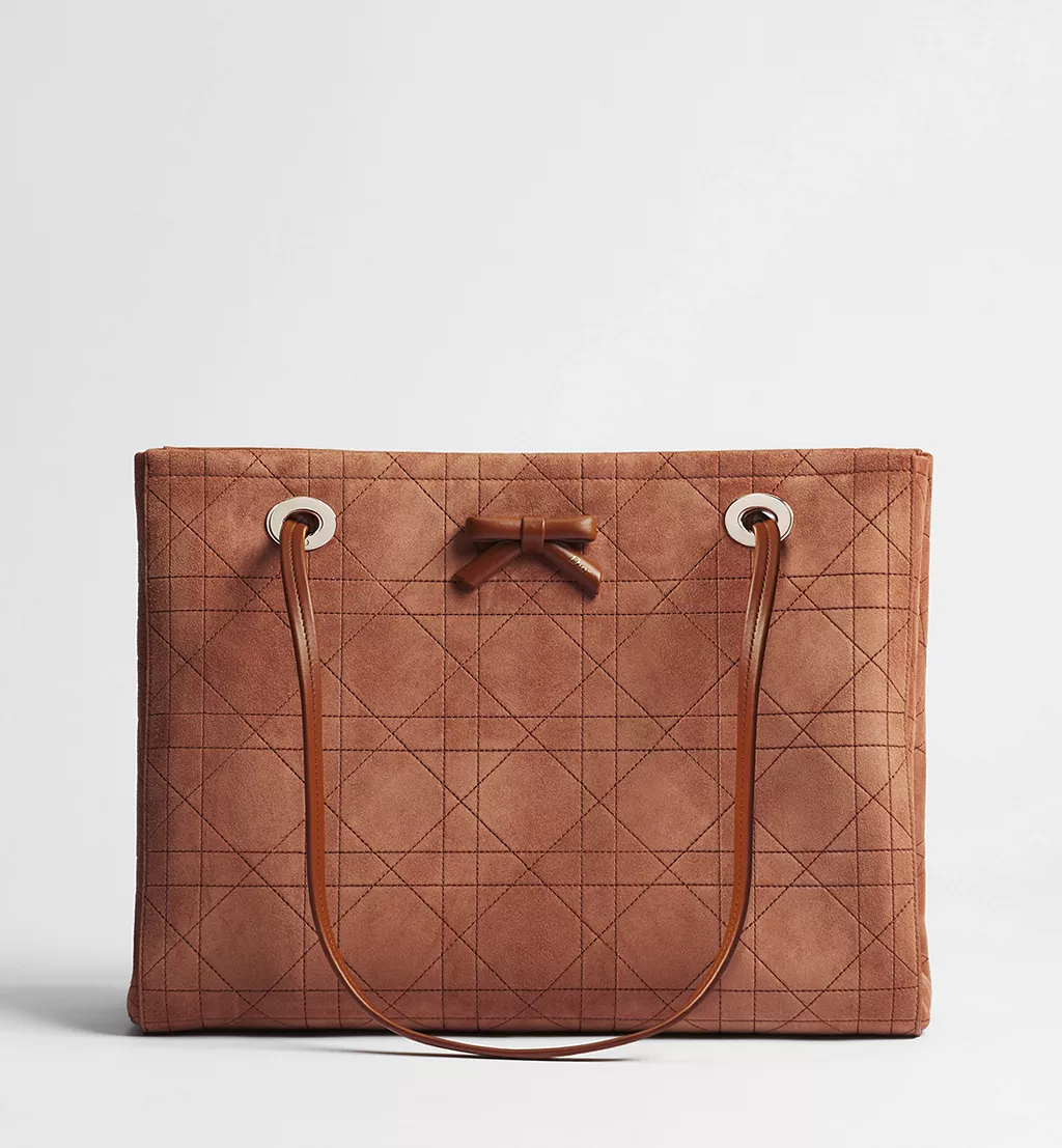 (Special Price)Dior medium-sized bag, Dior Promenade tote bag