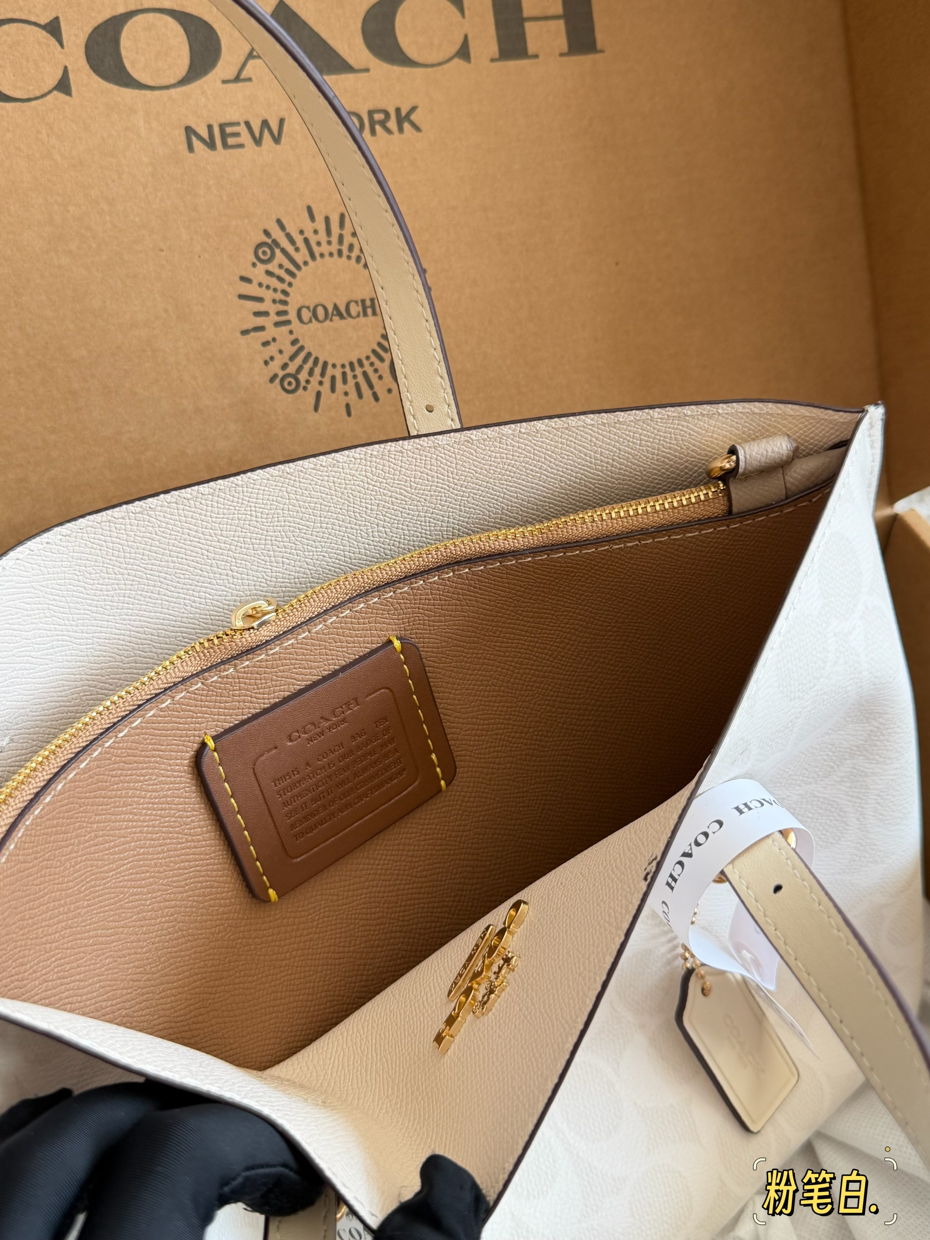 coach Mollie  tote25 bag