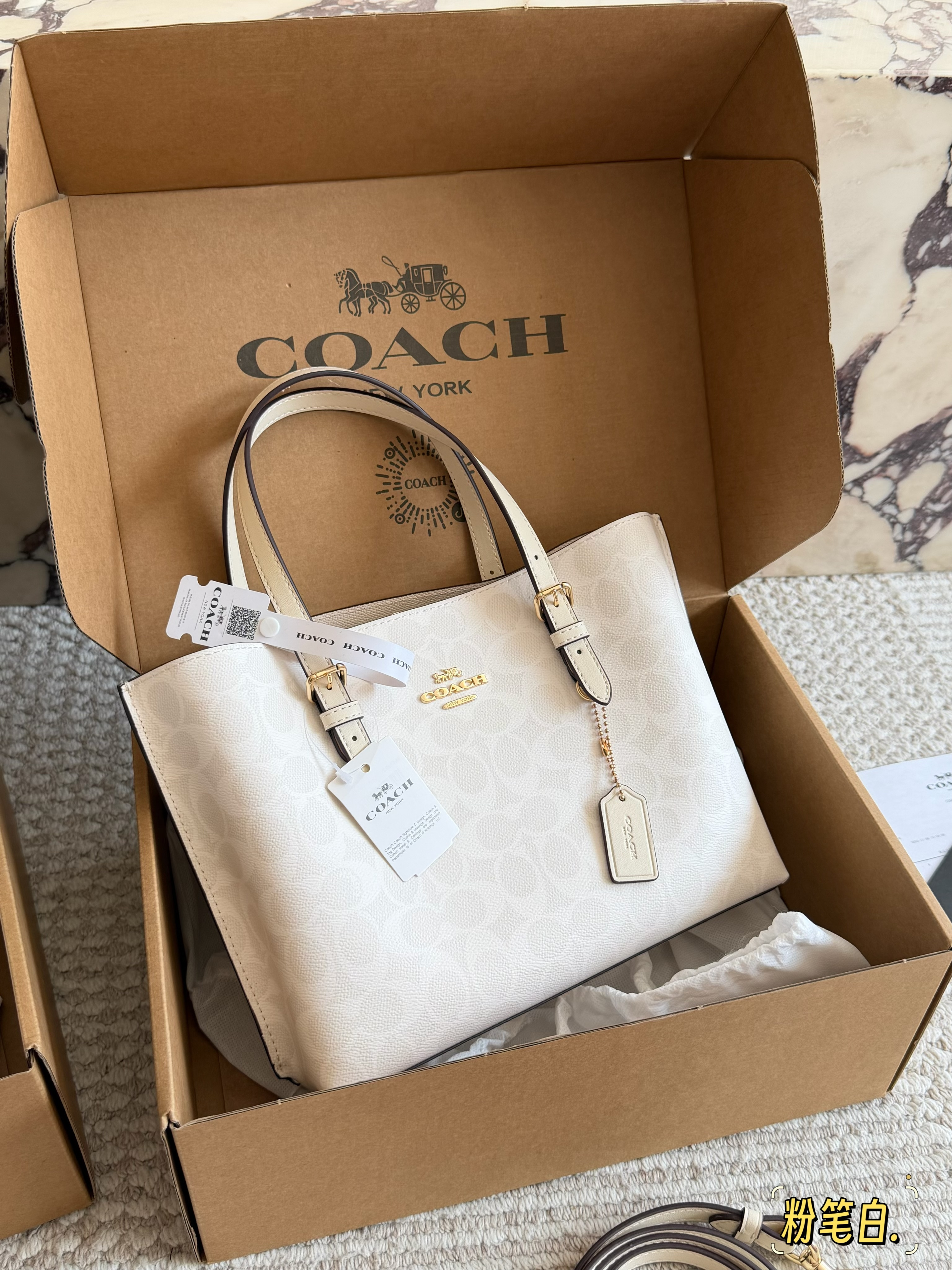 coach Mollie  tote25 bag