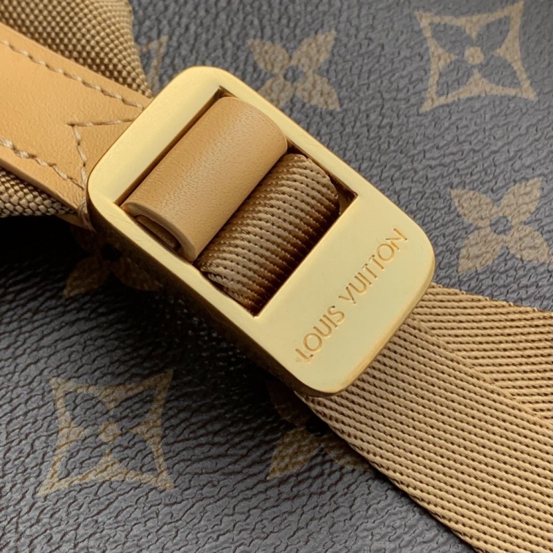 LV backpack
