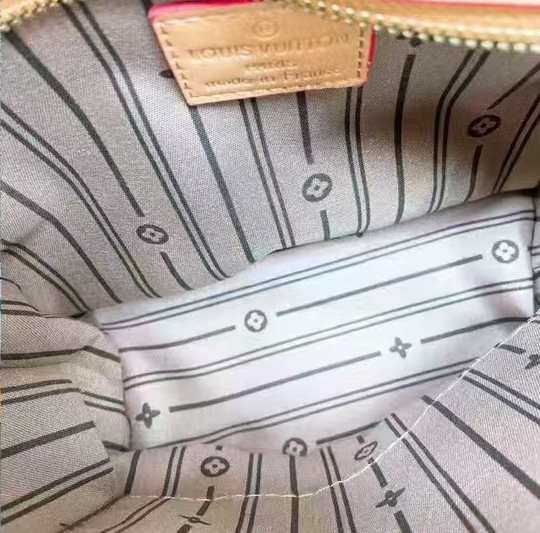 Louis Vuitton double shoulder bag