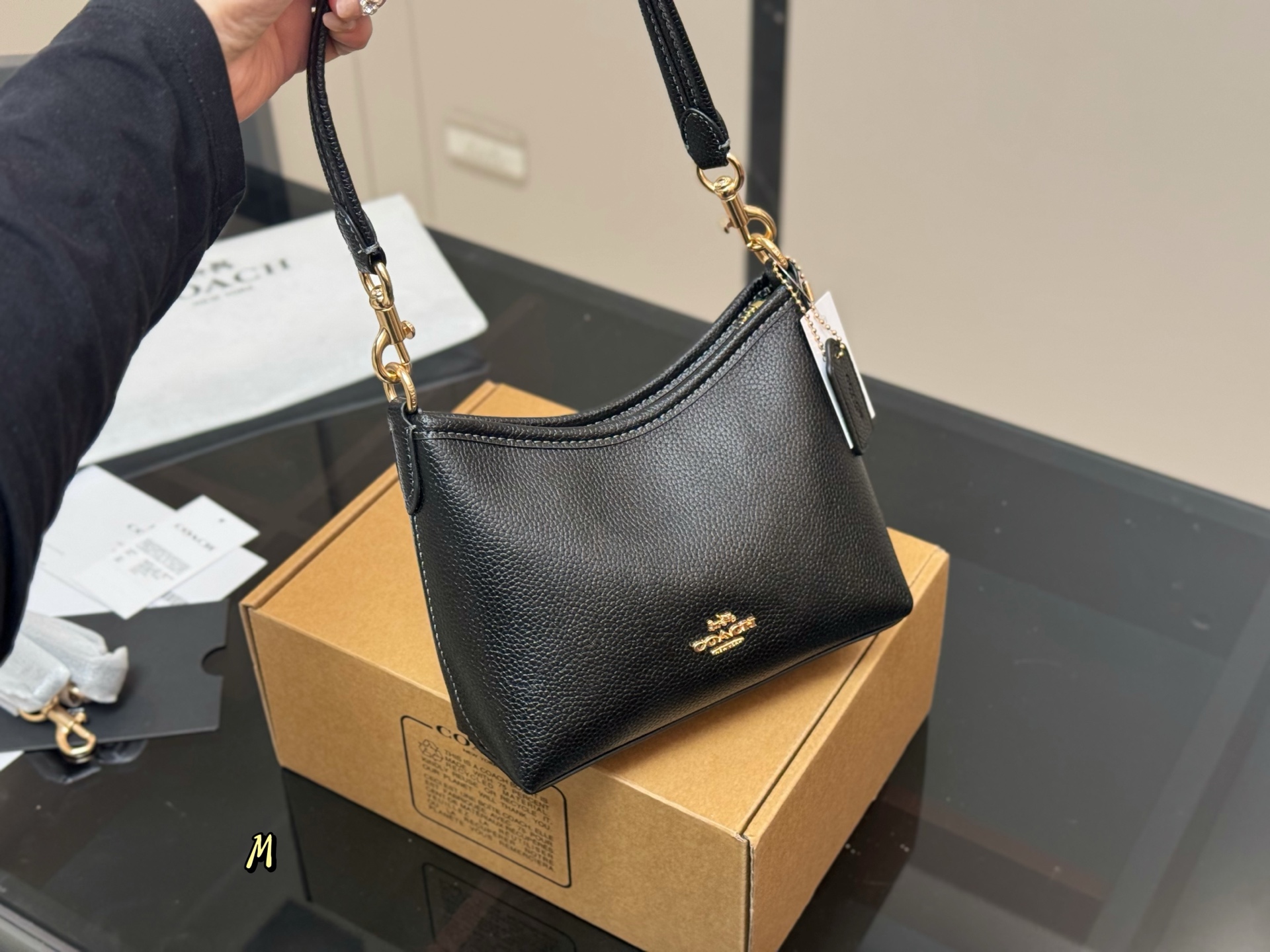 Coach mini Laurel Hobo Bag