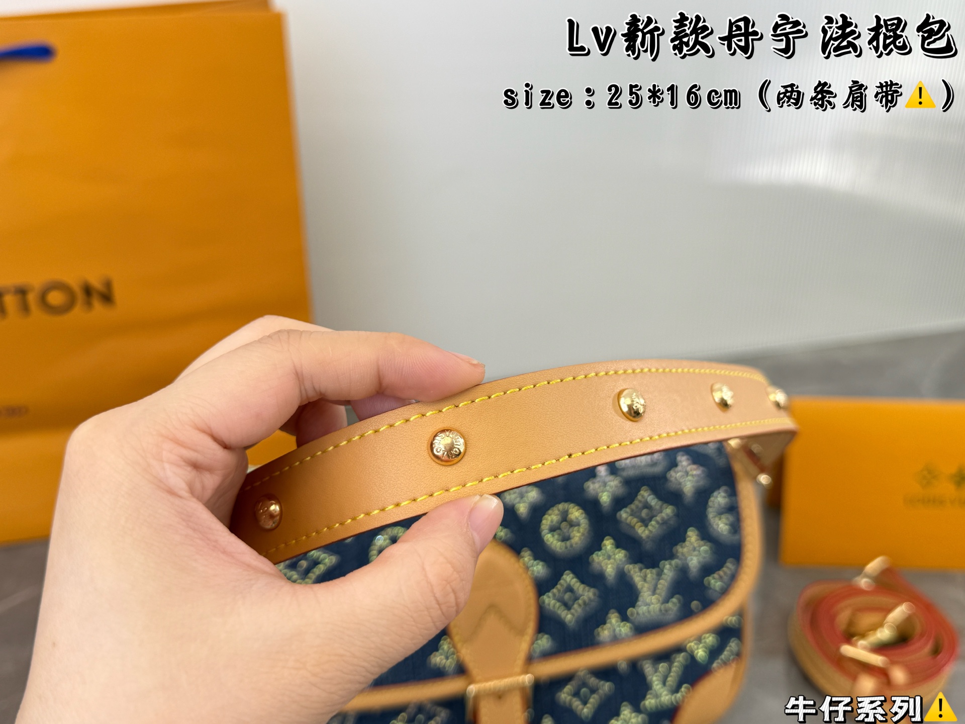 LV Denim Baguette Bag