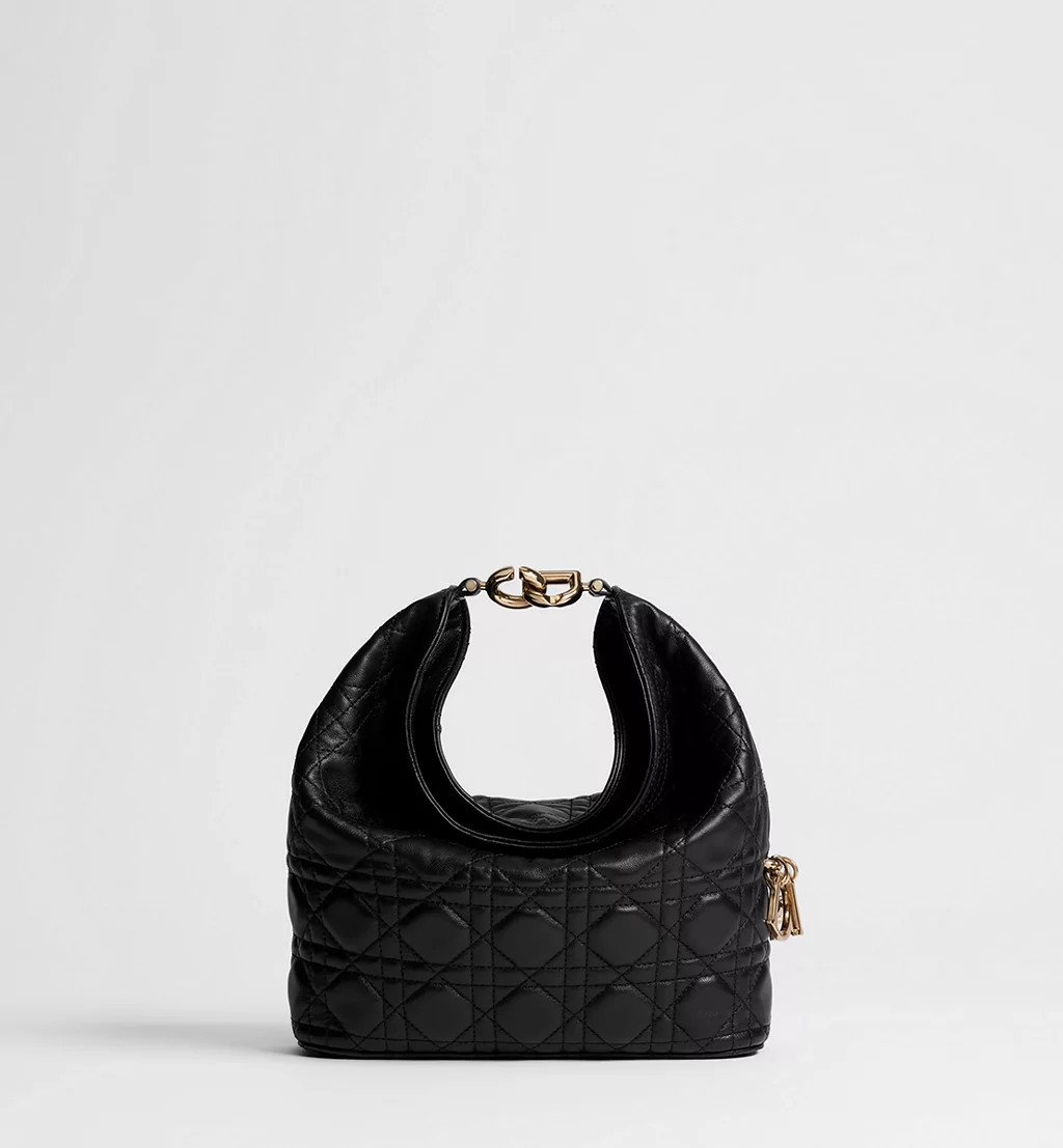 Dior small bag, Dior Toujours Hobo handbag