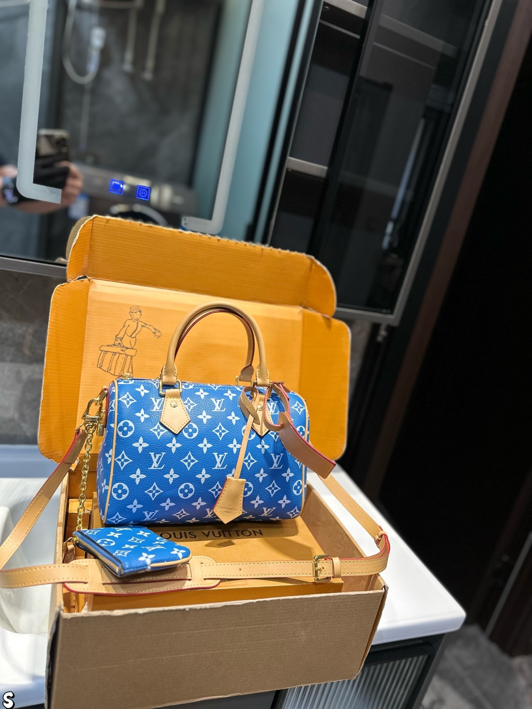LV Speedy travel bag