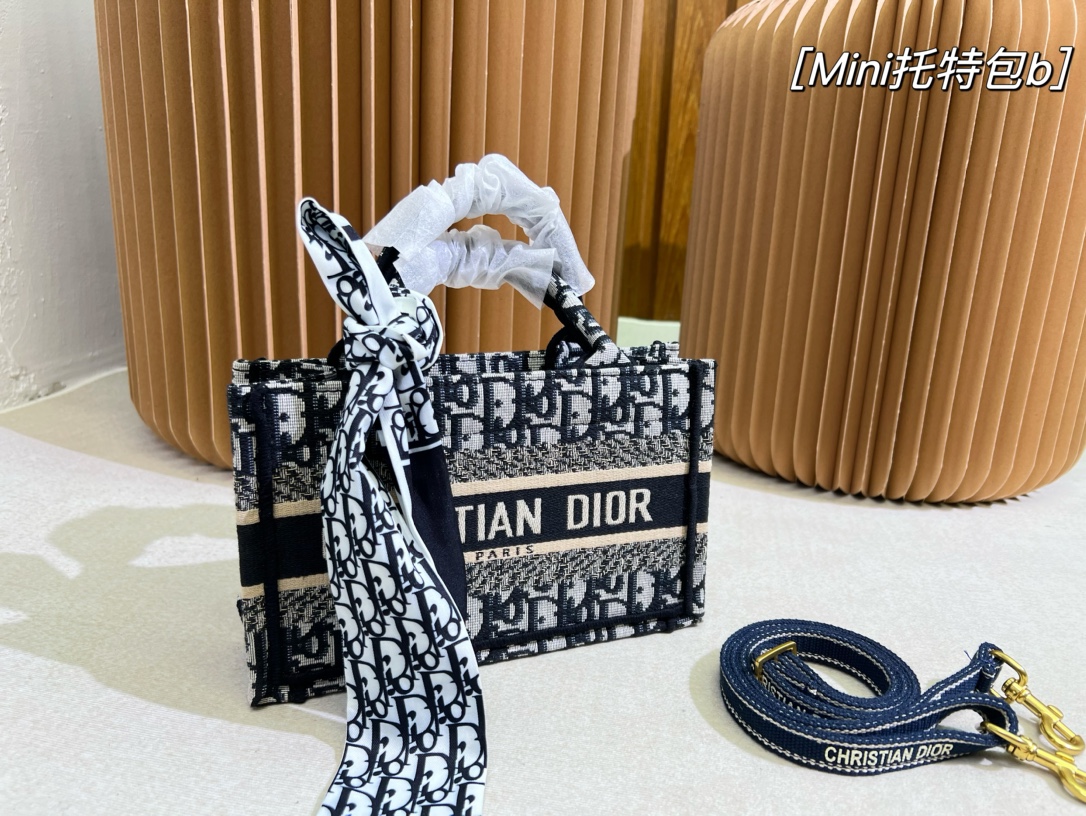 DIOR Book Tote Oblique Canvas Mini Bag