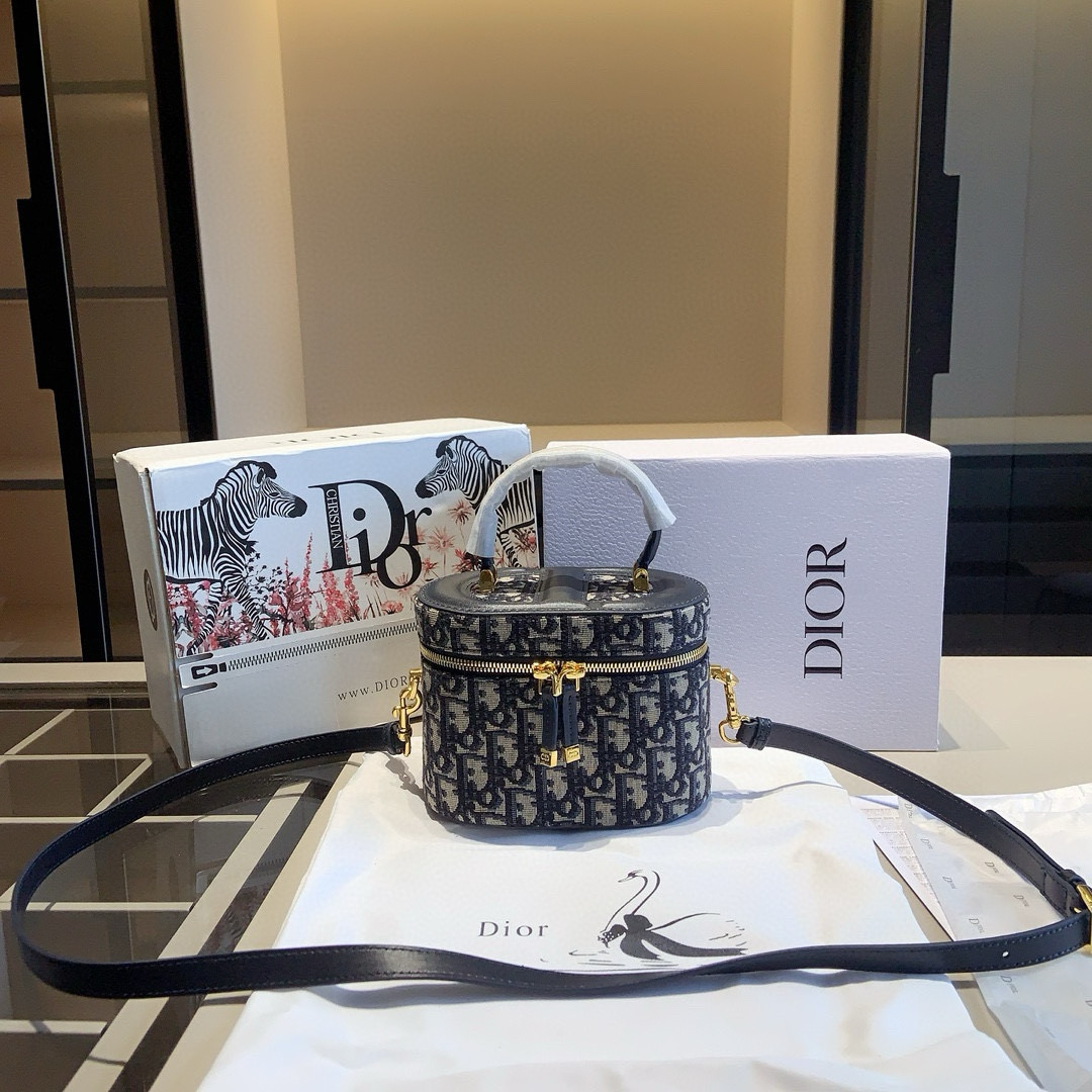 Dior Oblique Mini Case Bag