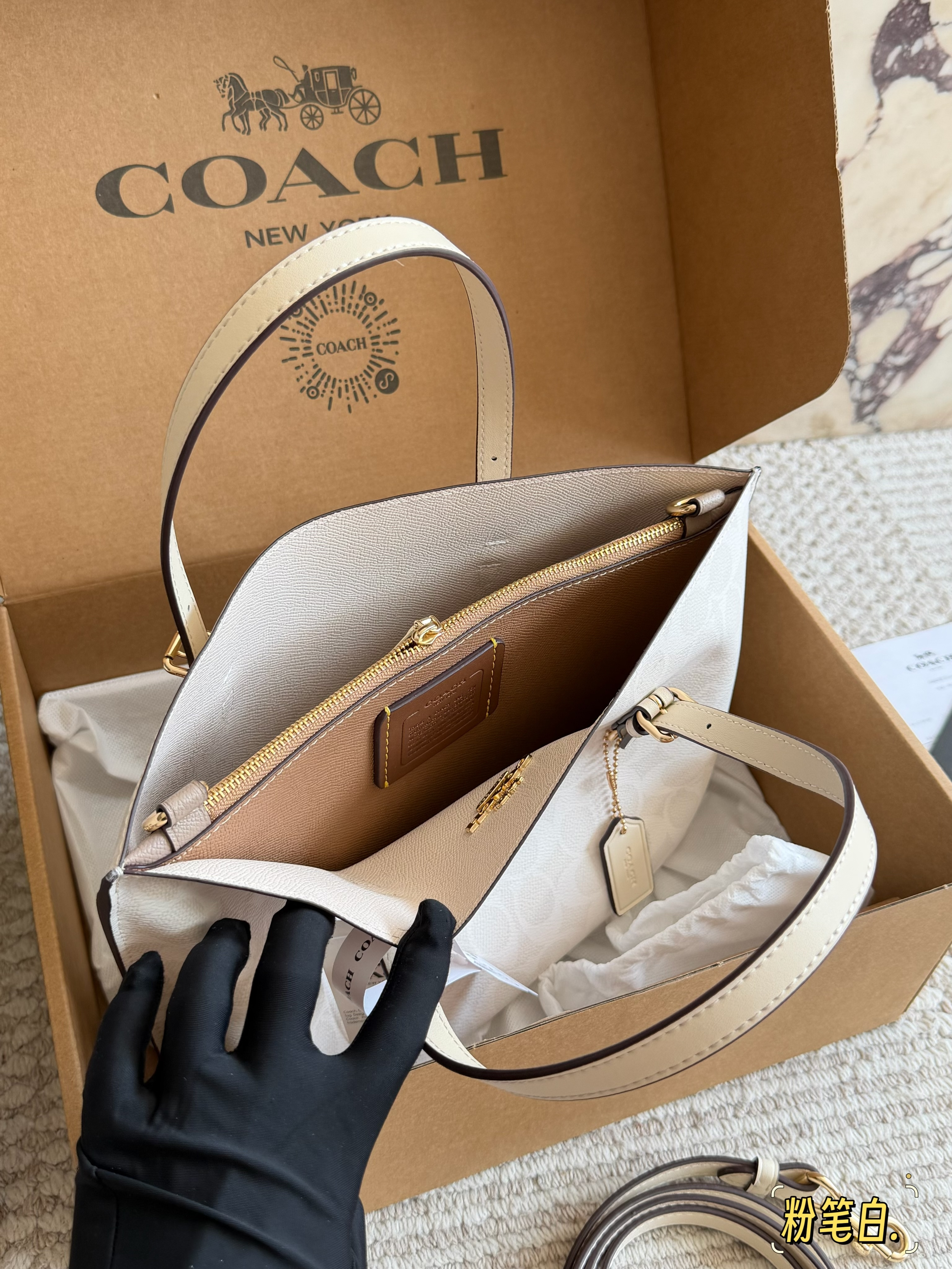 coach Mollie  tote25 bag