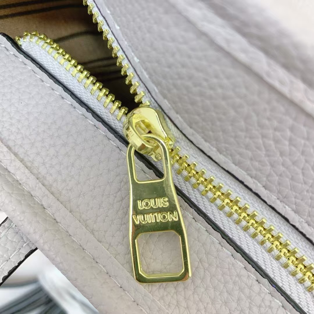 Louis Vuitton double shoulder bag
