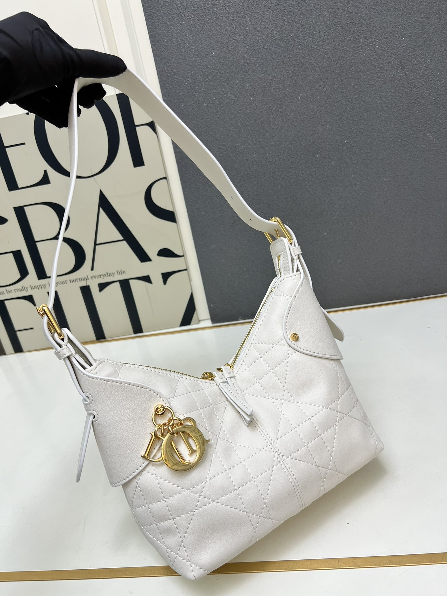 DIOR VOYAGE bag