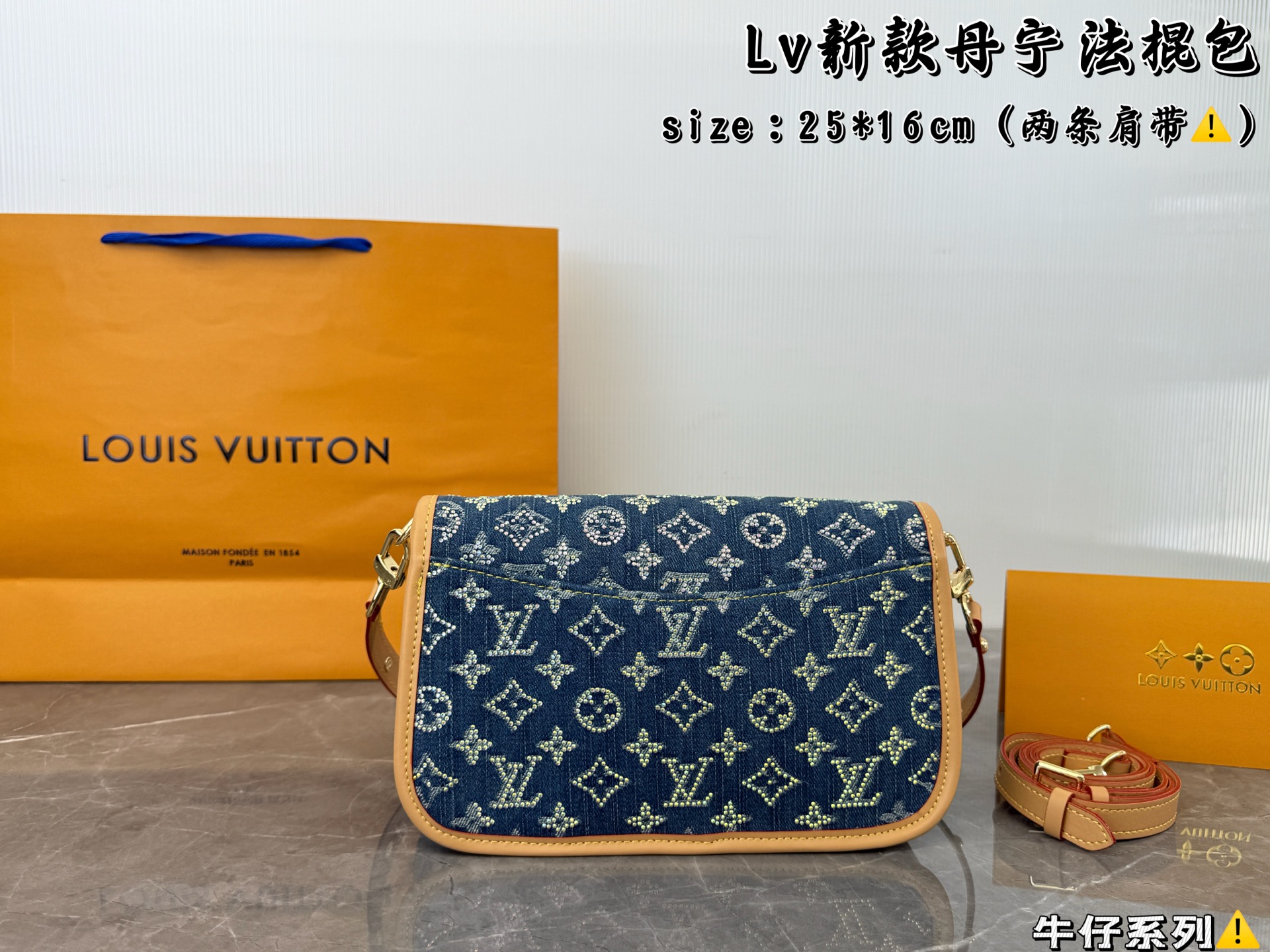 LV Denim Baguette Bag