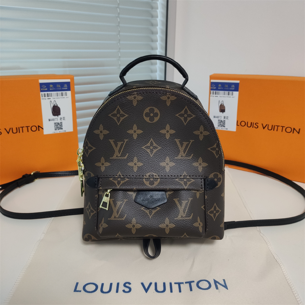 LV Louis Vuitton Palm Springs Backpack