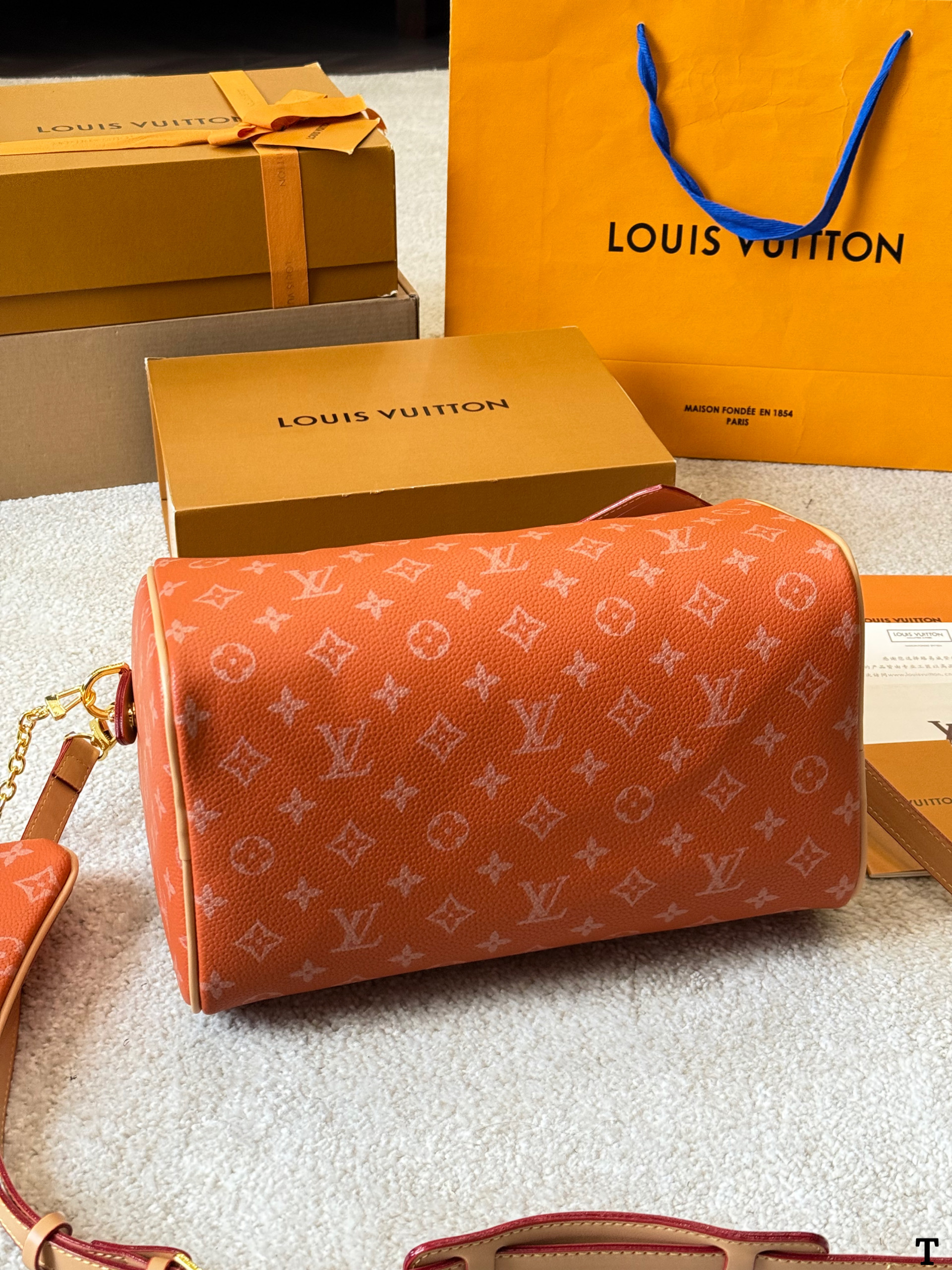 Louis Vuitton NanoSpeedy 30 Pillow Bag