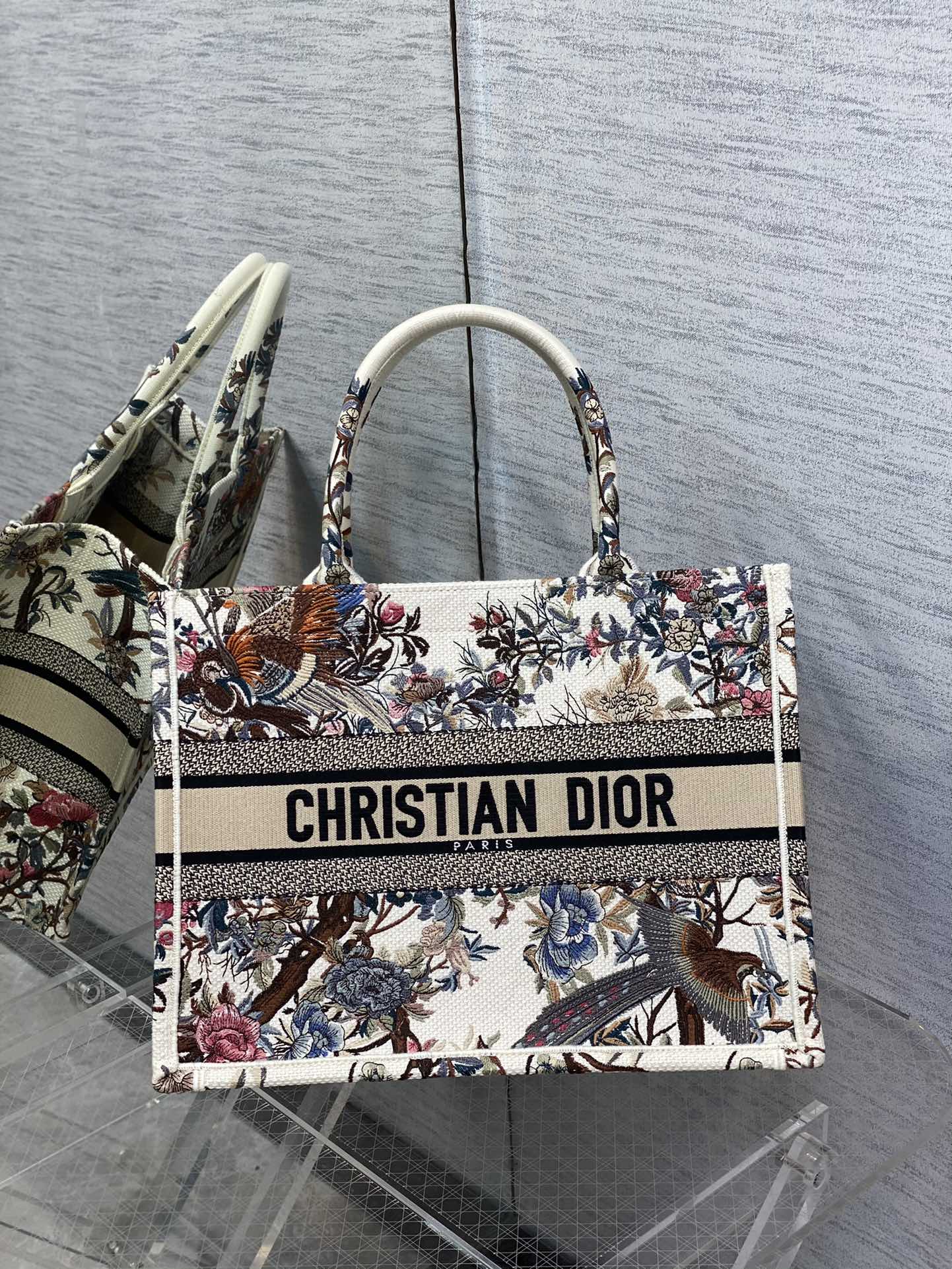 Dior  Canvas Embroidered Medium Jardin D'Hiver Book Tote Bag