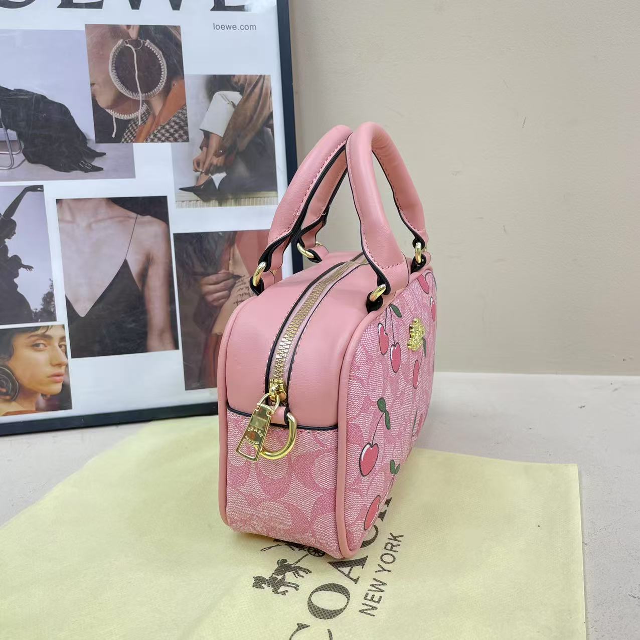 Coach handheld camera bag