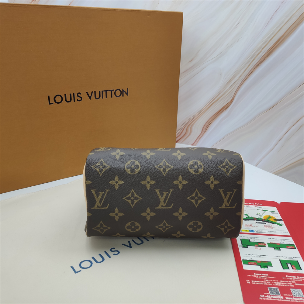 Louis Vuitton Speedy Bandoulière Handbag
