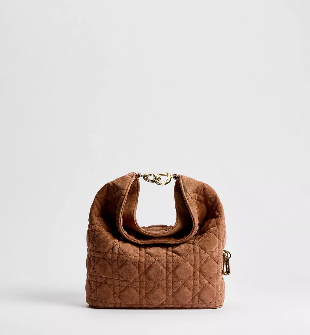 Dior small bag, Dior Toujours Hobo handbag
