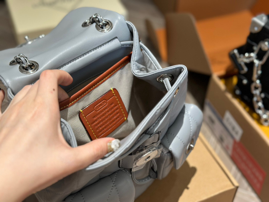 Coach versatile backpack