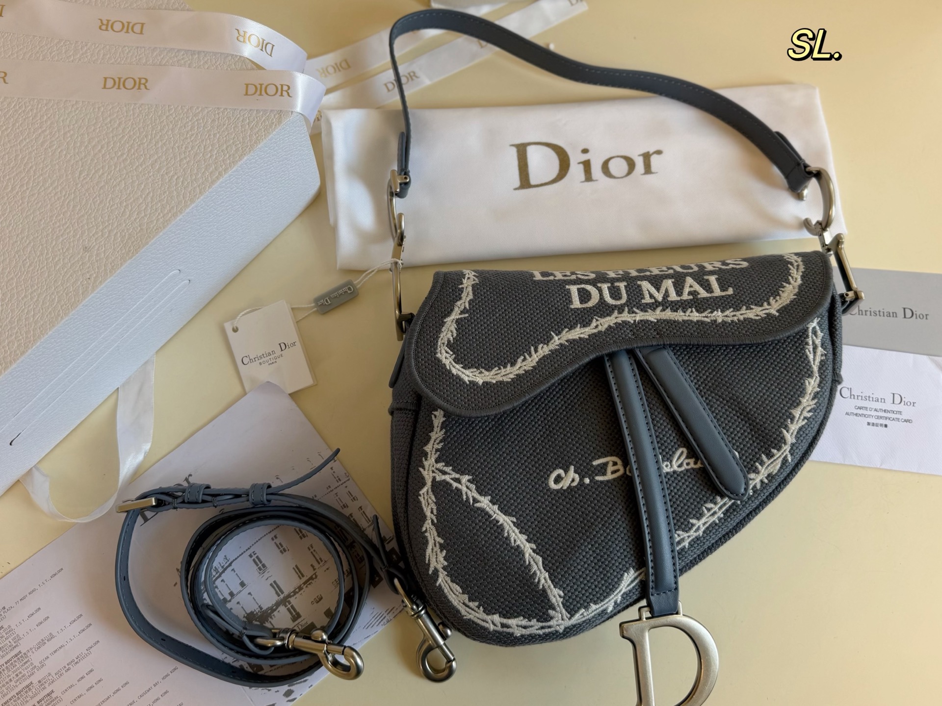 Dior Saddle Limited-Edition Embroidered Bag