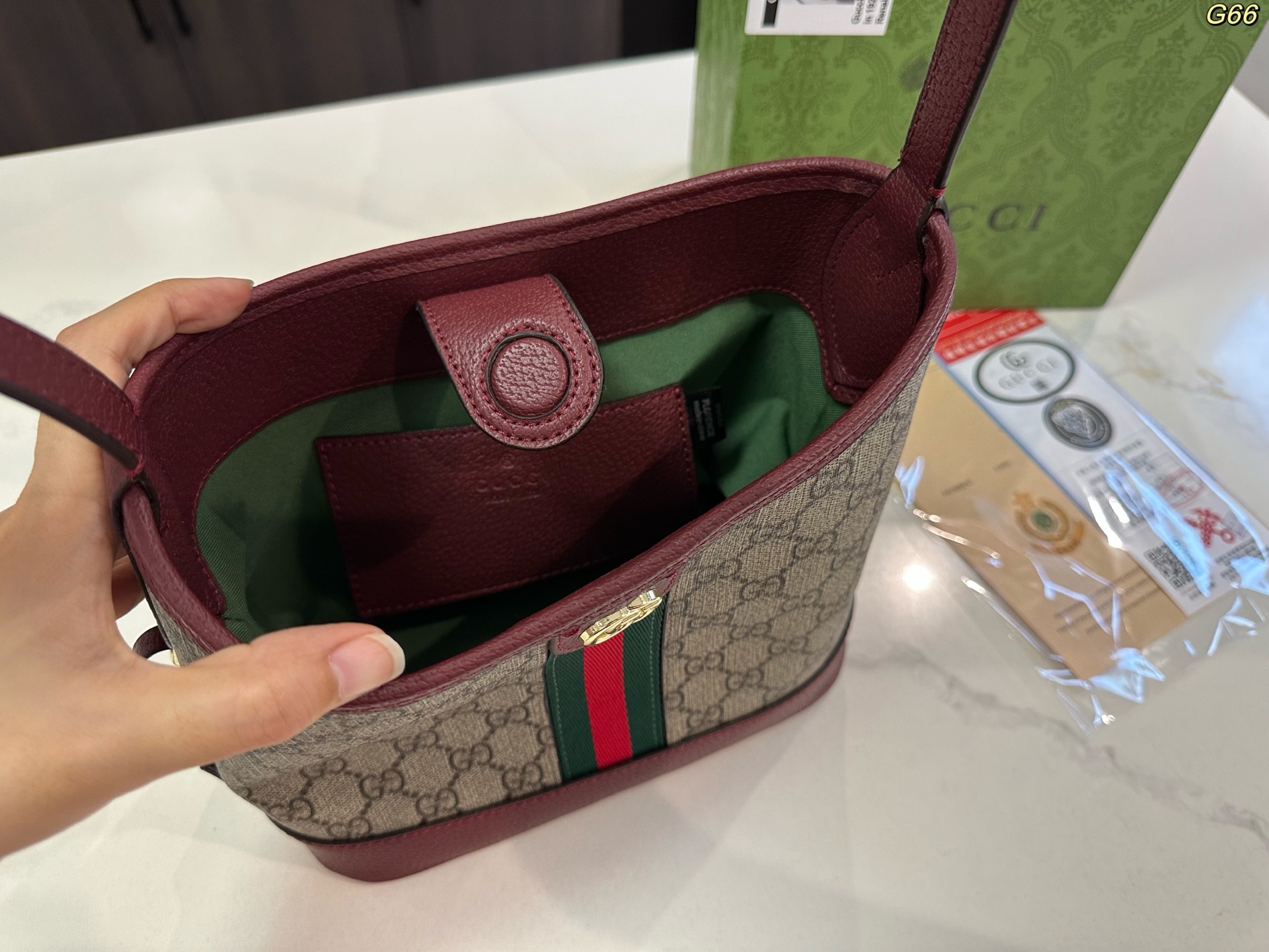 Gucci's new Ophidia series small hobo bag