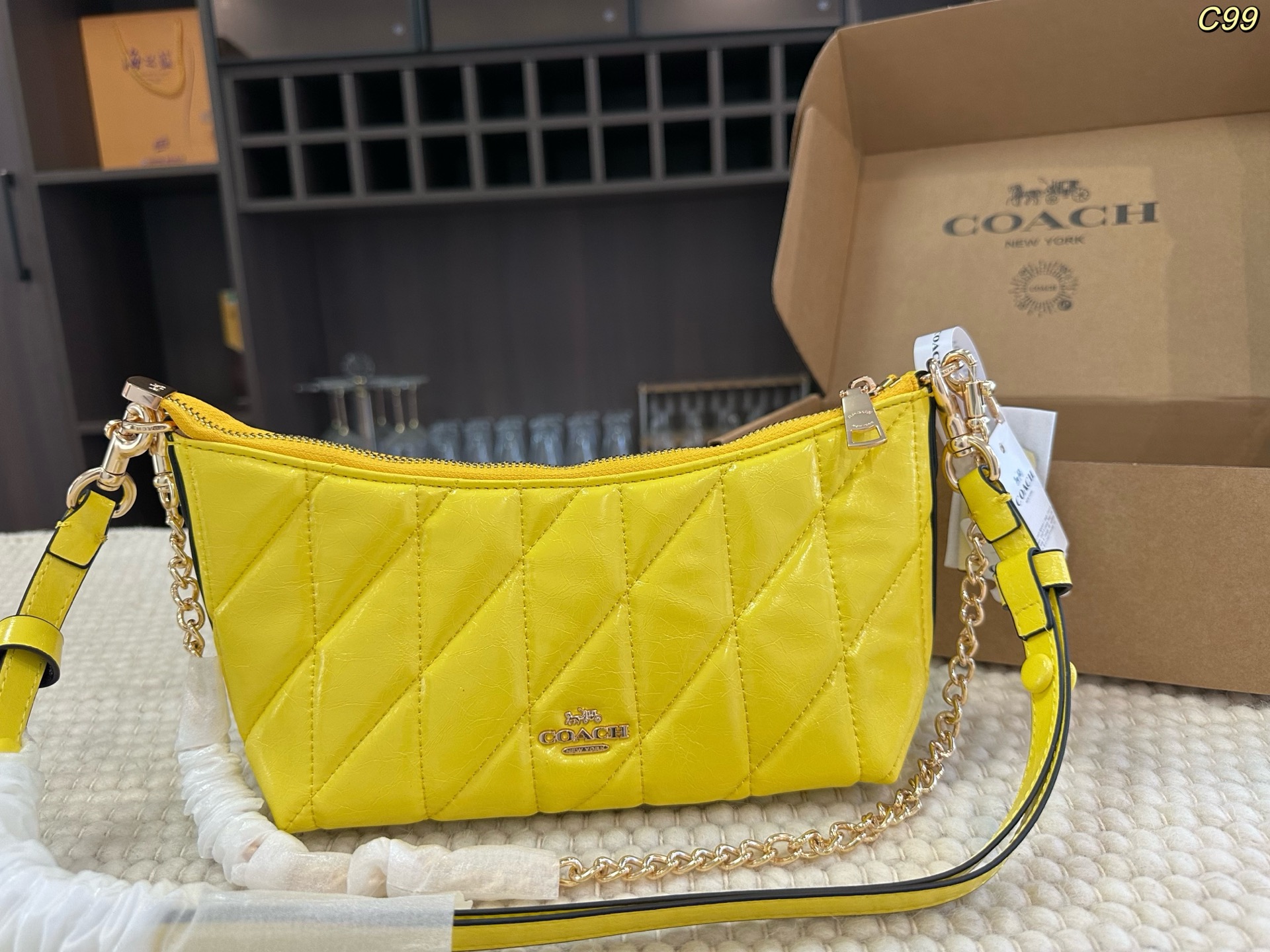 Coach Teri underarm bag