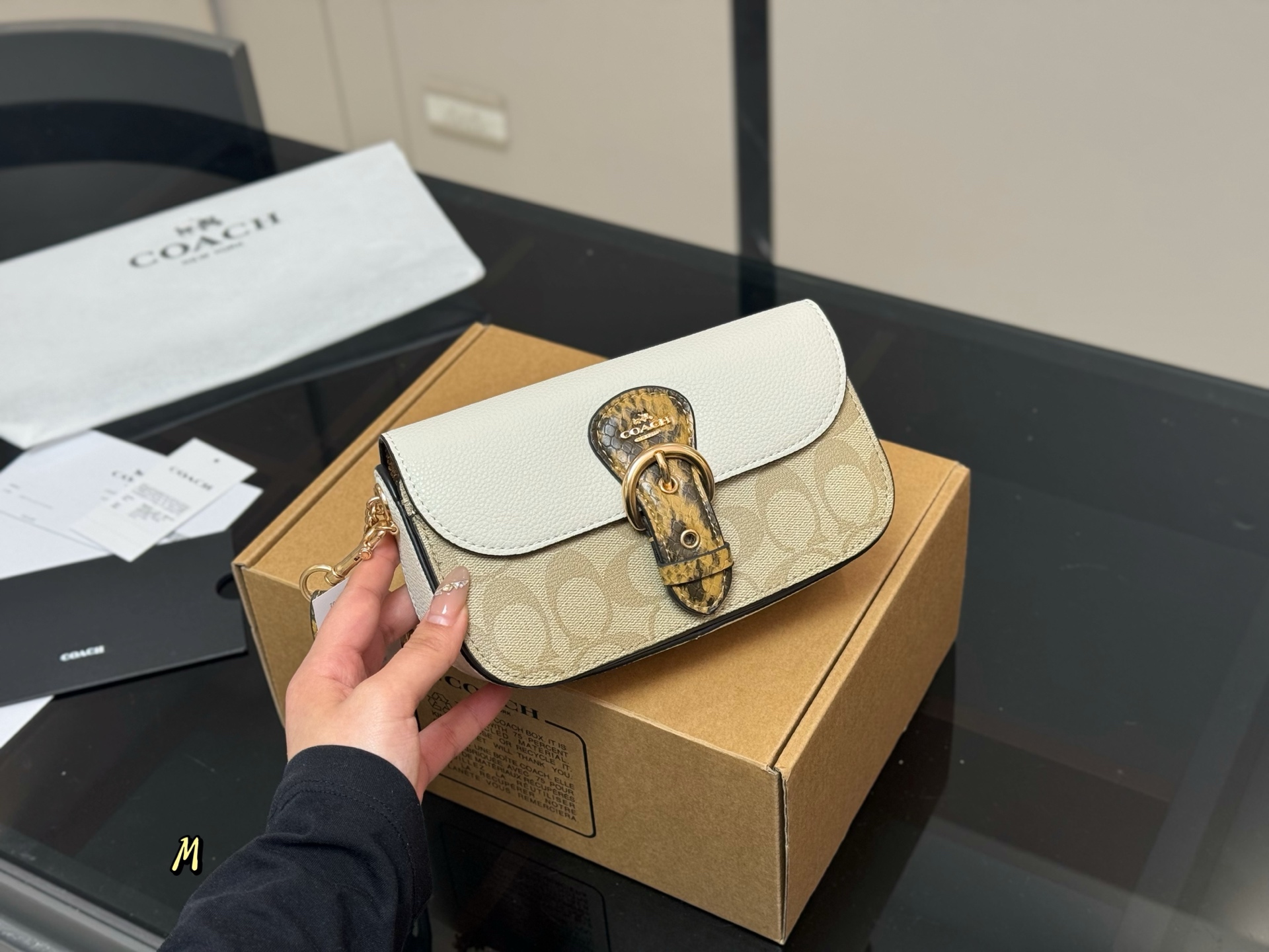 COACH chain bag