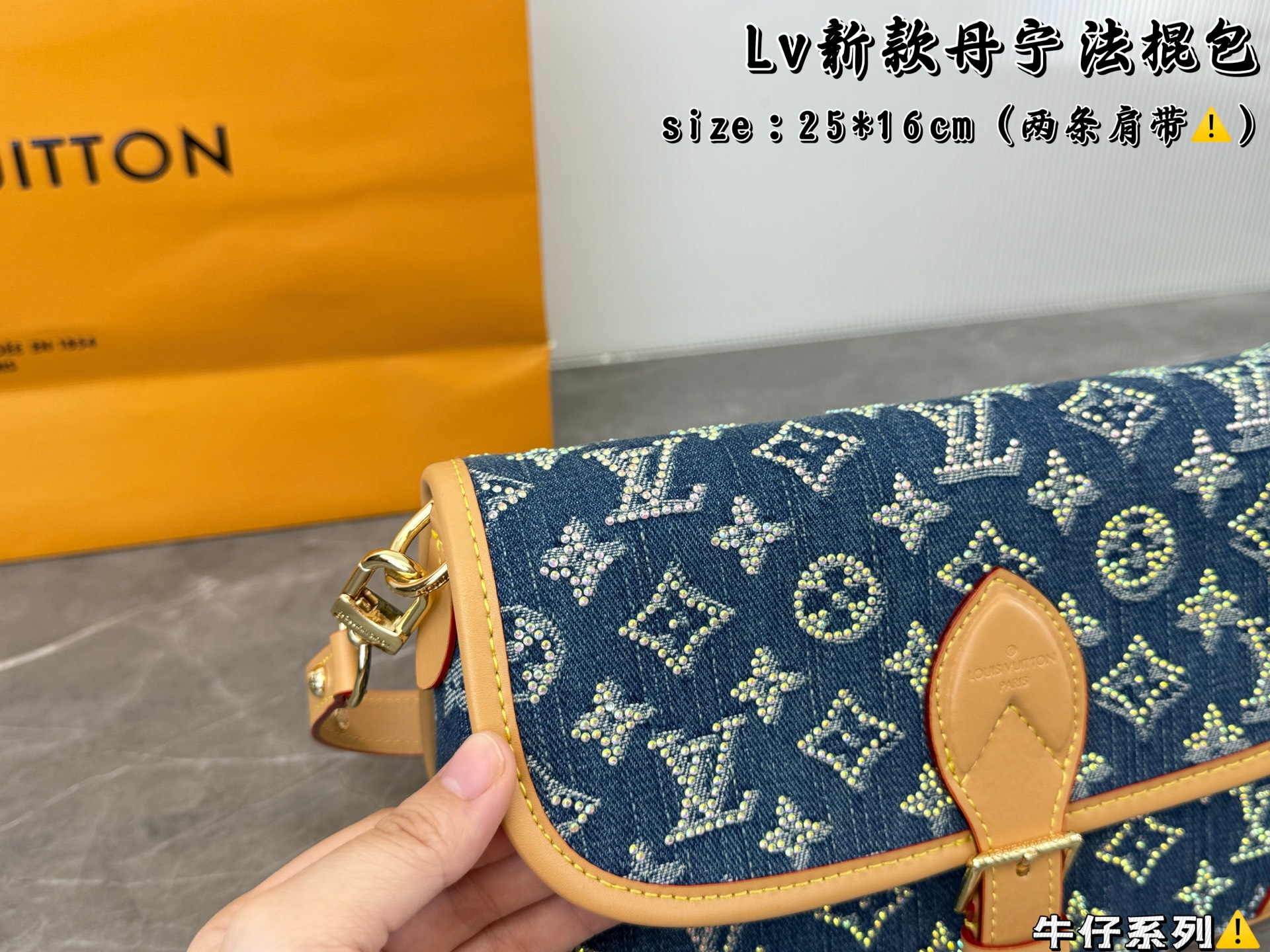 LV Denim Baguette Bag