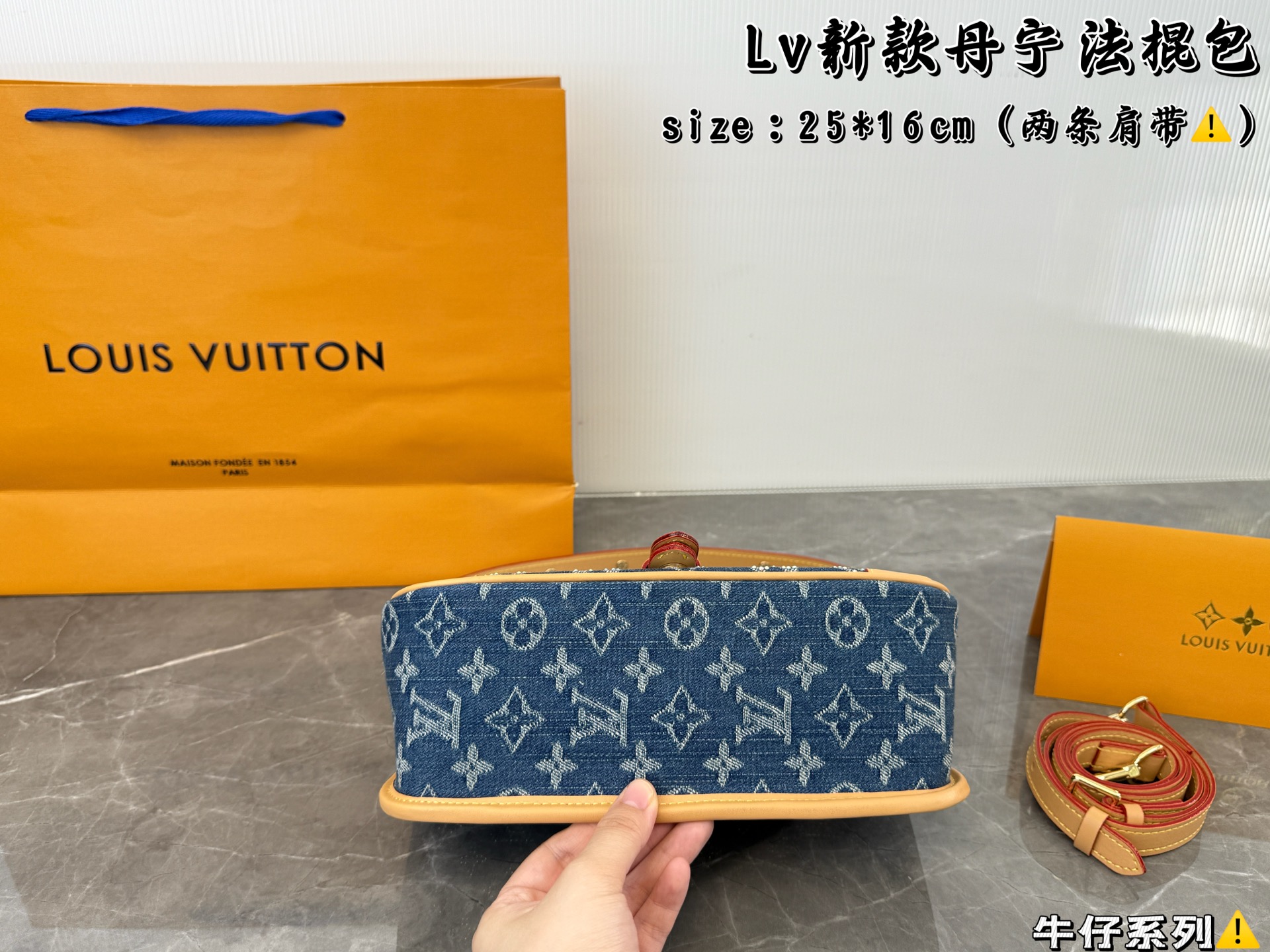 LV Denim Baguette Bag