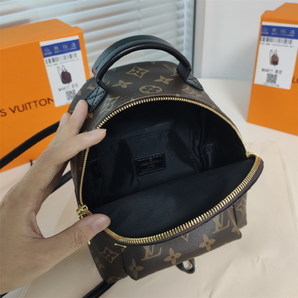 LV Louis Vuitton Palm Springs Backpack