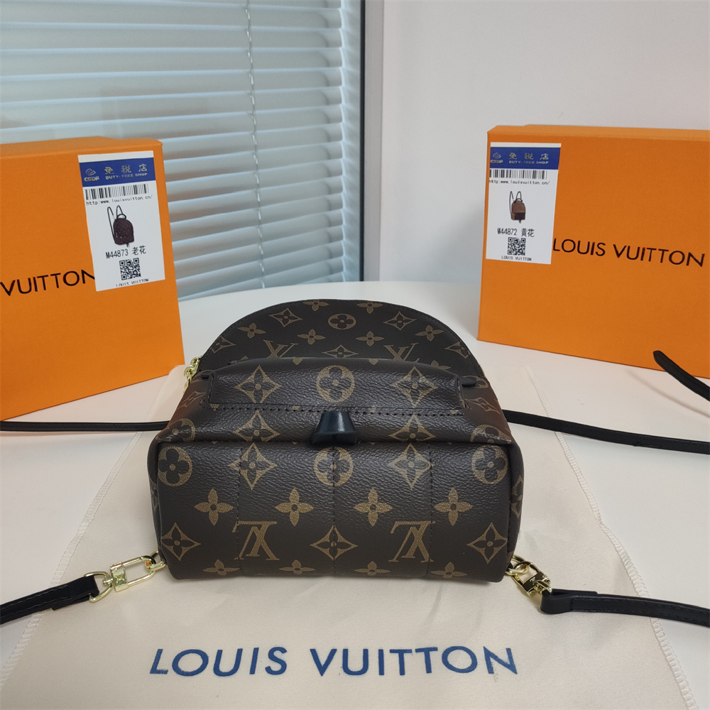LV Louis Vuitton Palm Springs Backpack