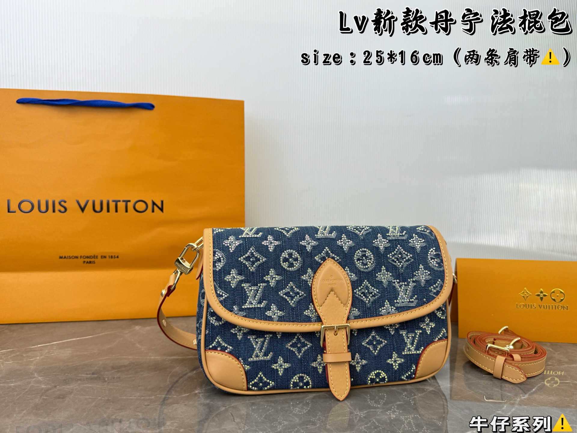 LV Denim Baguette Bag