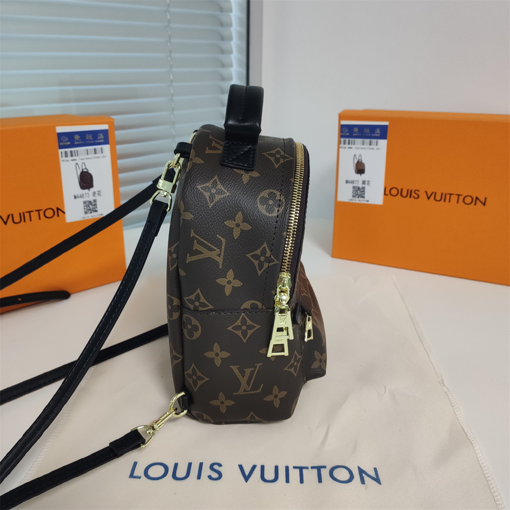 LV Louis Vuitton Palm Springs Backpack