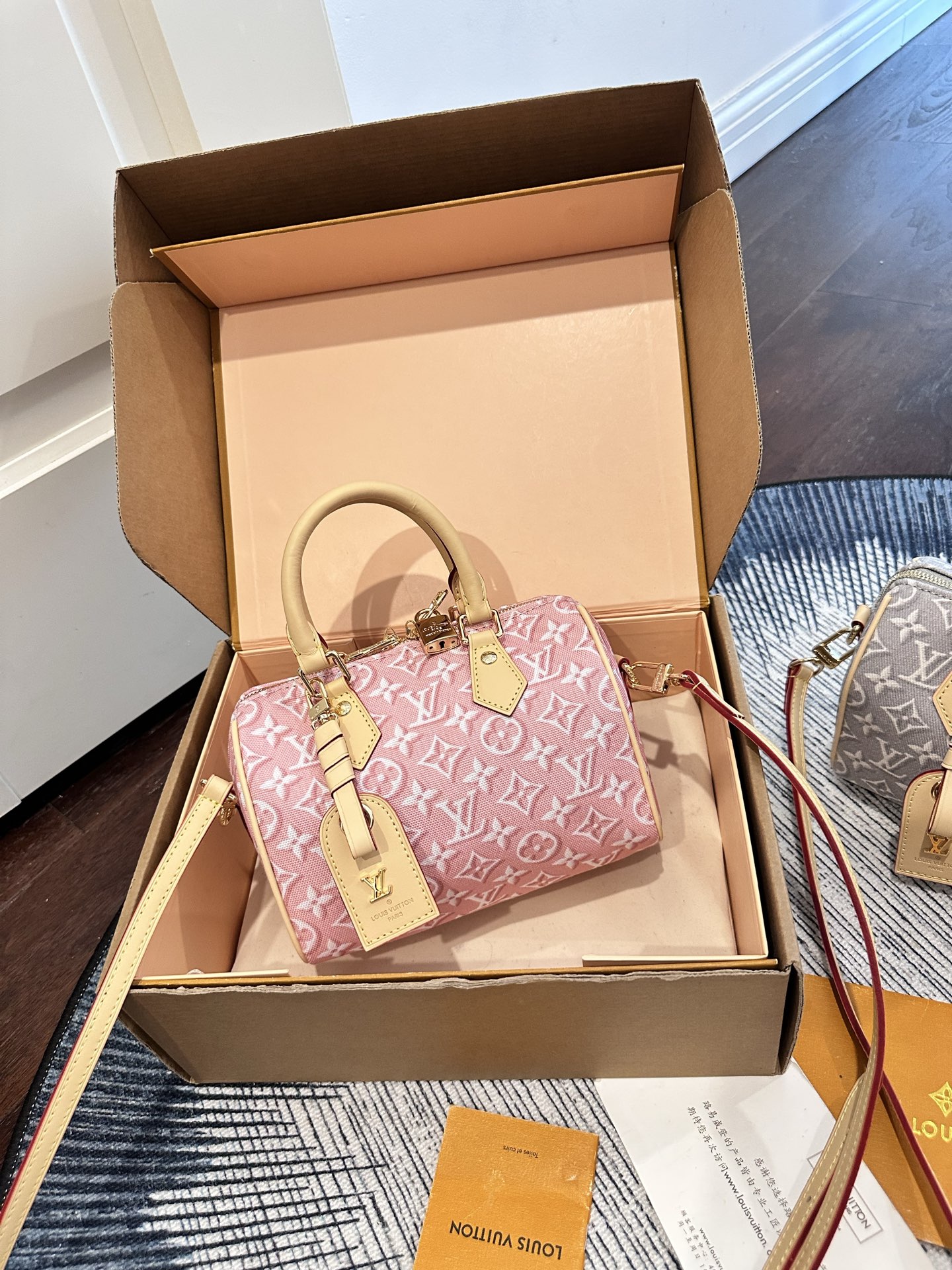 LV Nano Speedy Embossed Bag